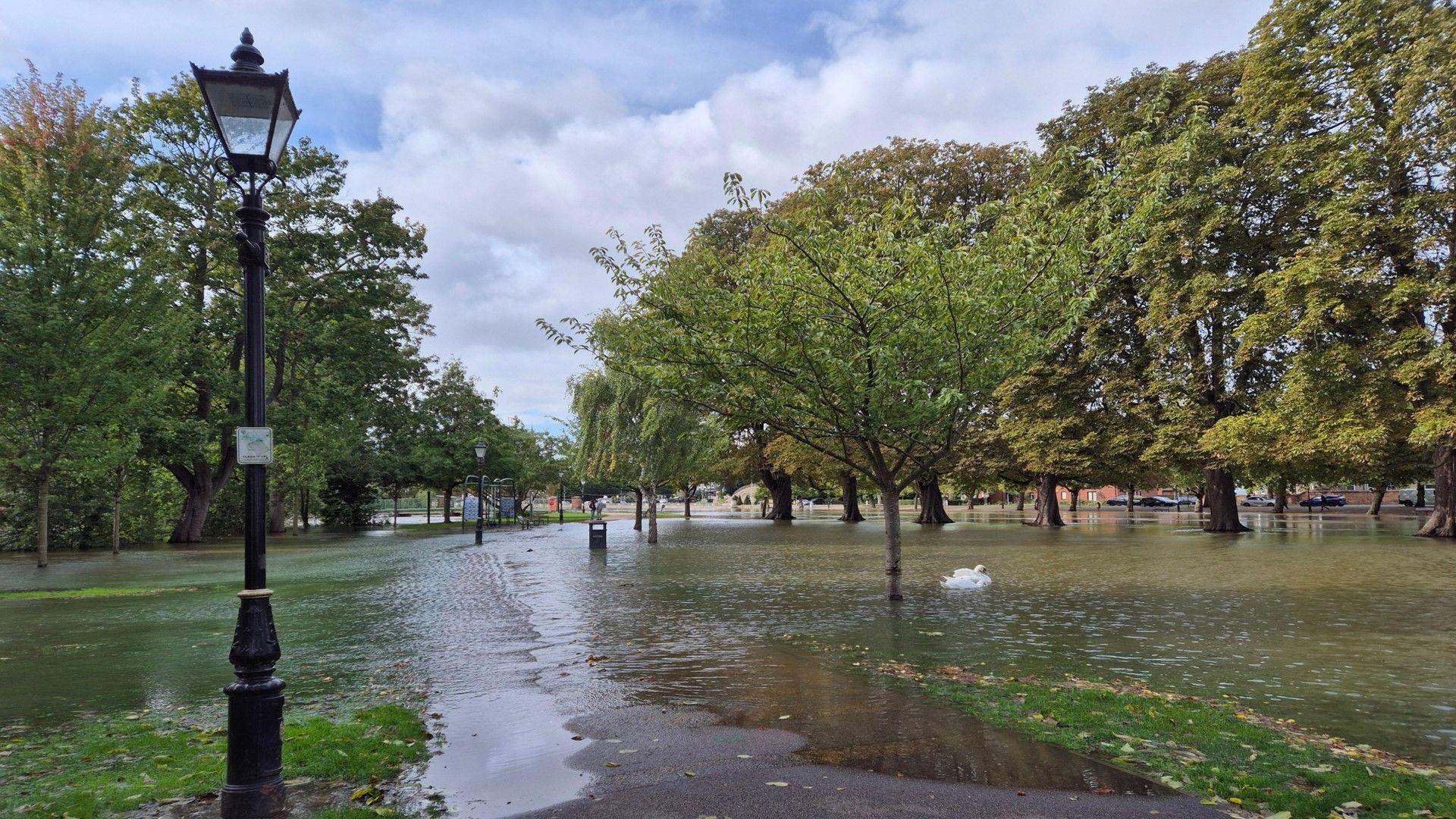 Flooded park with a swan swimming around lampposts and bins