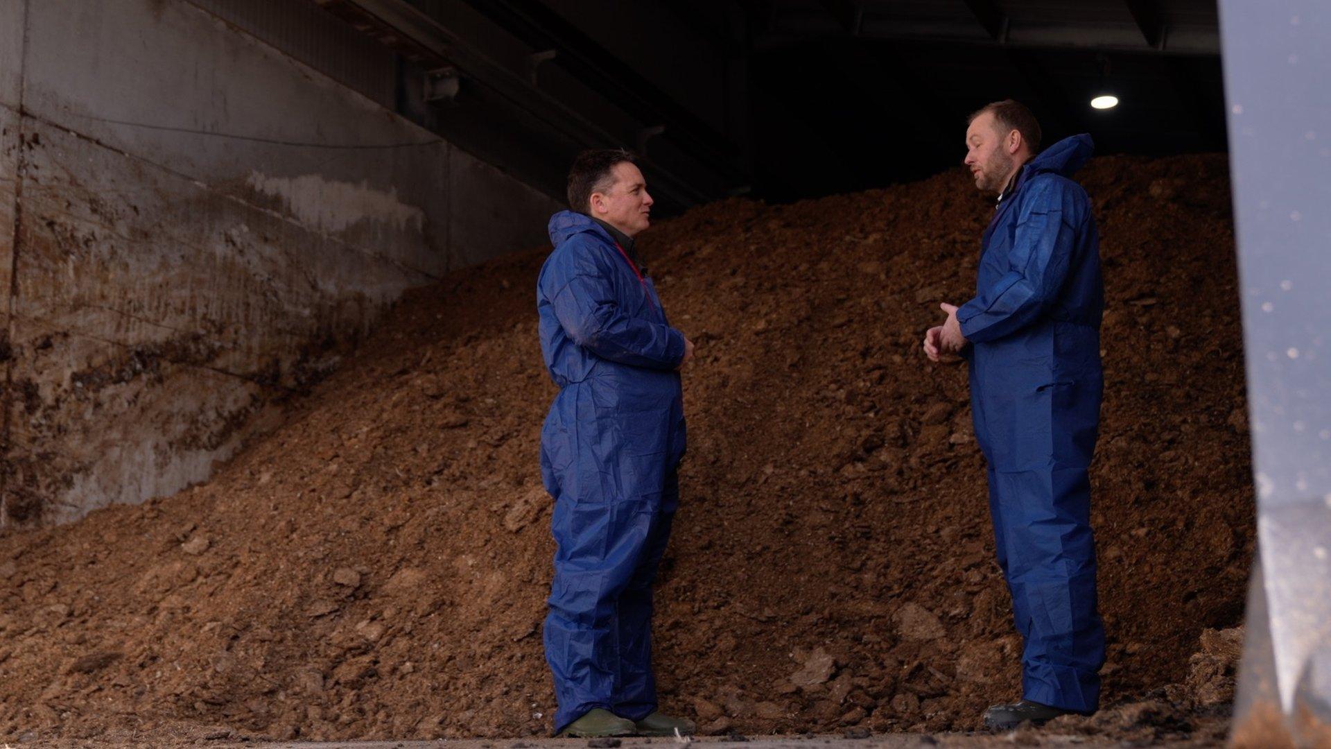 Pile of chicken manure.