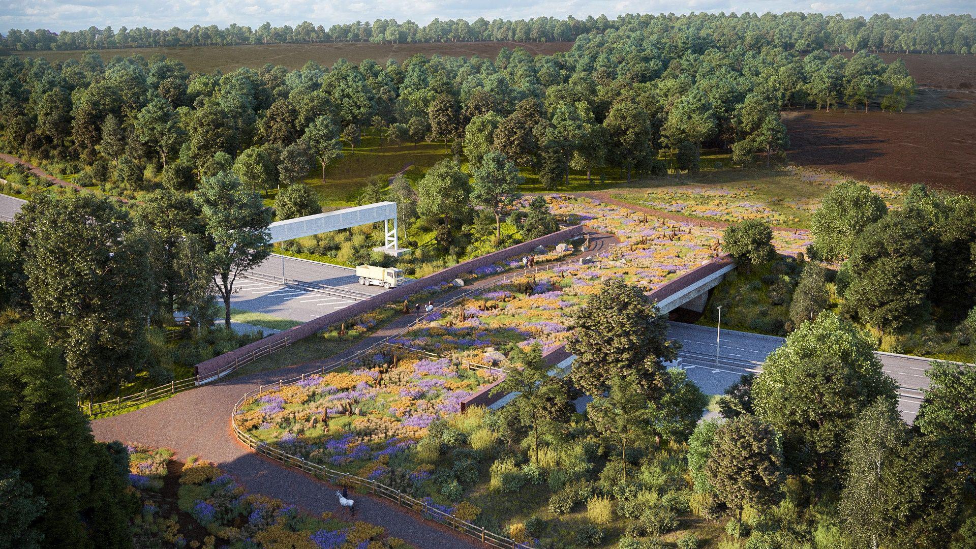 An artist's impression of the Cockrow bridge which has a path running along one side and the other part of it fenced with plants, including purple and yellow ones, growing. The A3 can be seen running beneath it, though there is no traffic on it, and either side there are trees and commons.