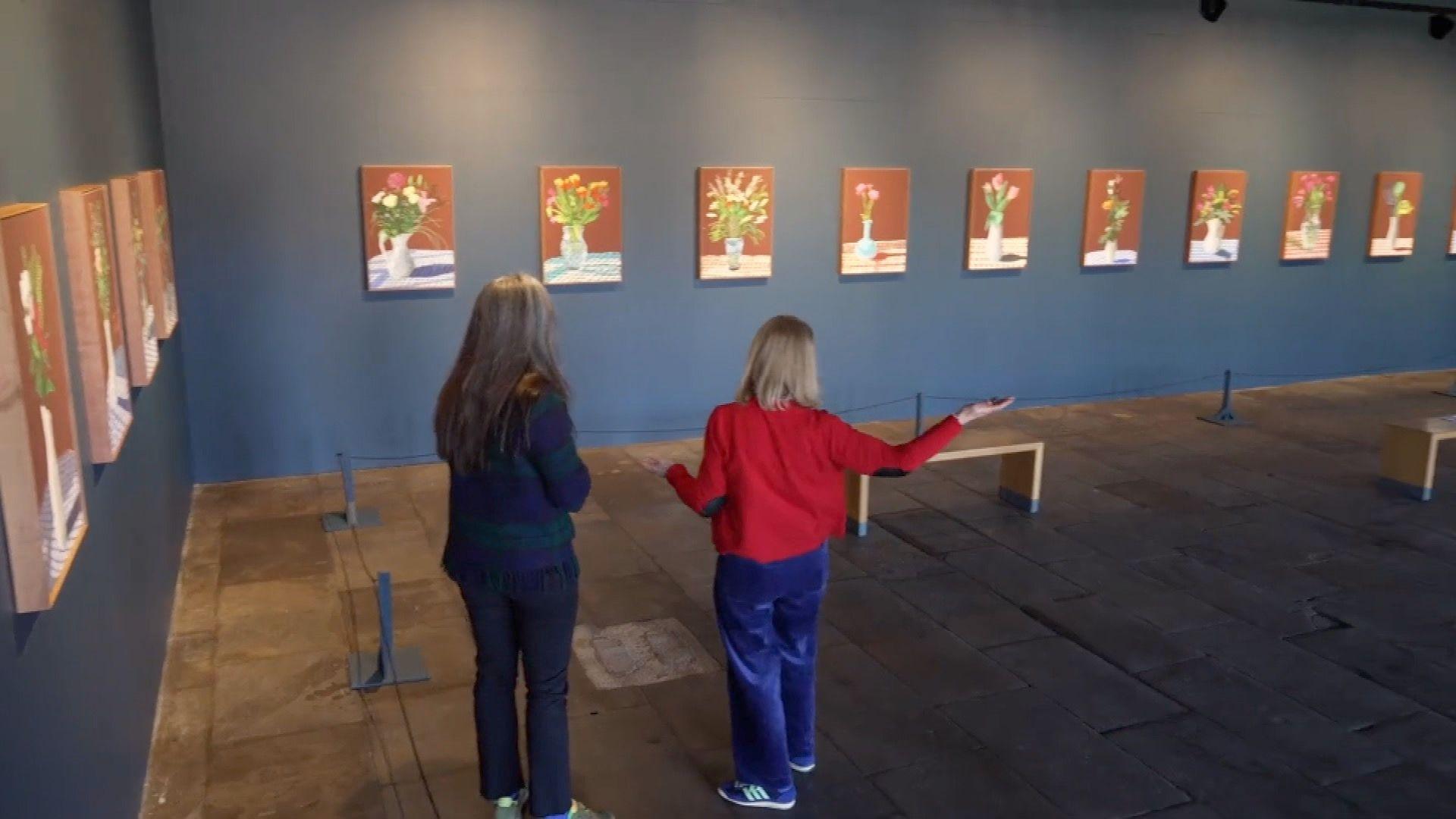 Person looking at a row a flower portrait on a grey wall in an art gallery