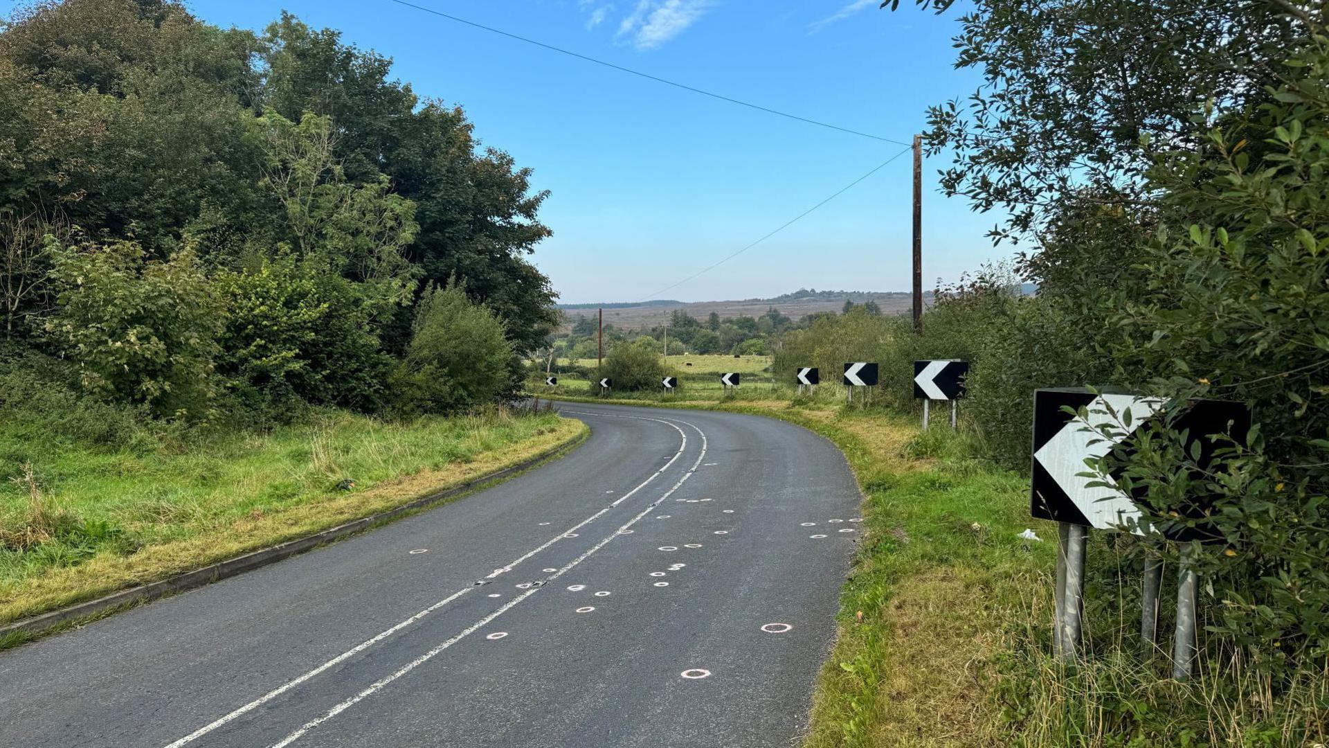 A bend in a road with two white lines in the centre and white circles on the road surface marking points of interest to the police. At the side of the road there are black road signs with white arrows to indicate the bend. The road is surrounded with trees and grass banks.