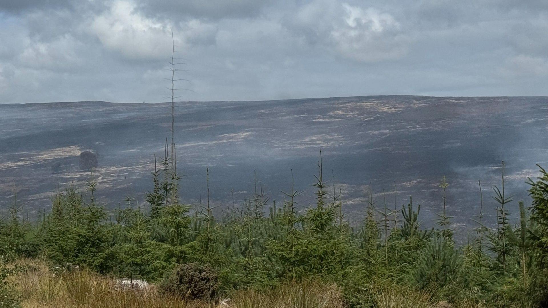 Langdale Moor in North Yorkshire showing the extent of damage caused by a large fire with trees in the foreground and in the distance the blackened and smoking moorland