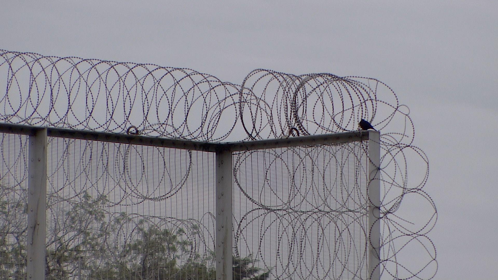 A barbed wire fence at Swinfen Hall prison. It is set against a backdrop of a grey sky. There are some trees in the background. 