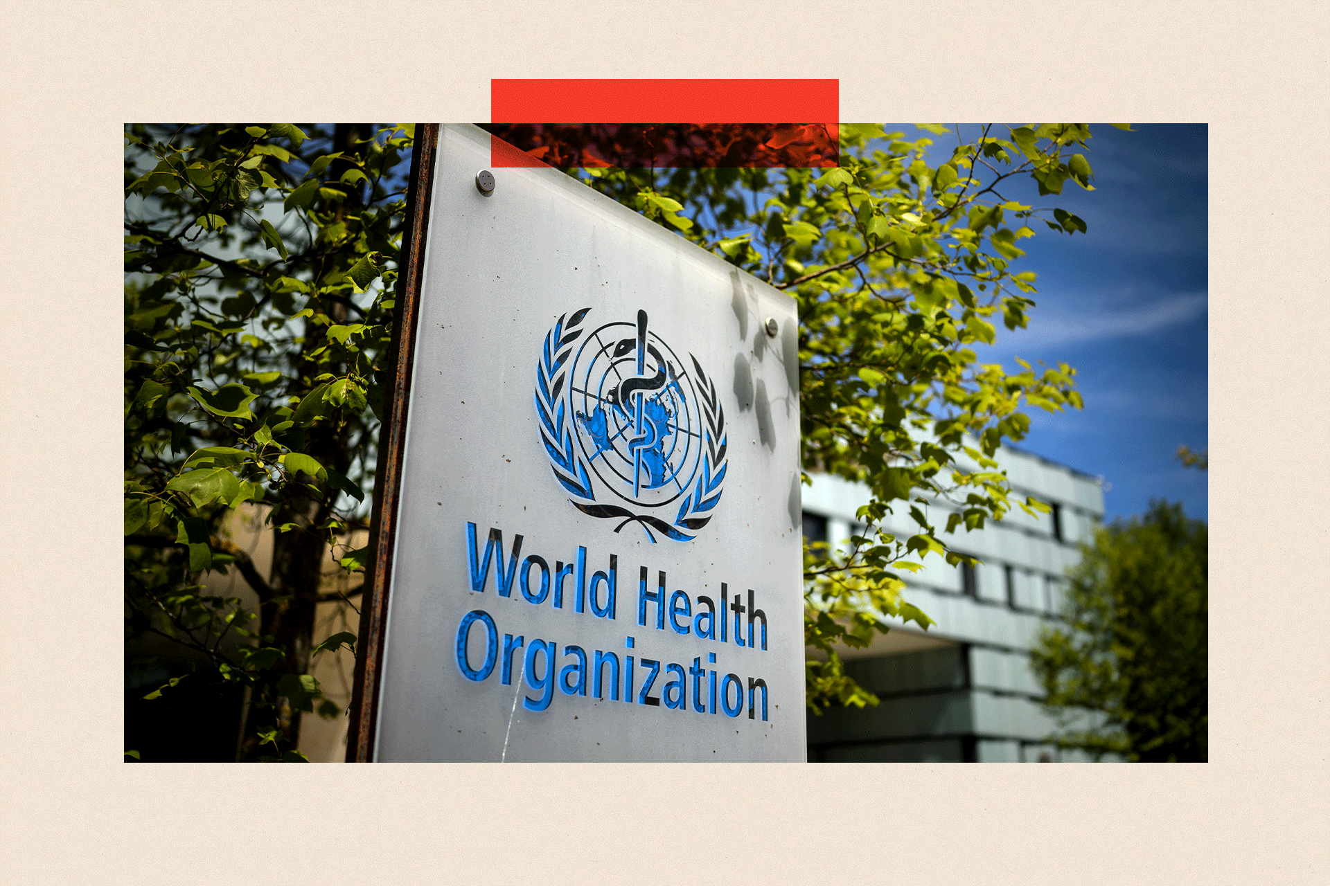 A World Health Organization sign