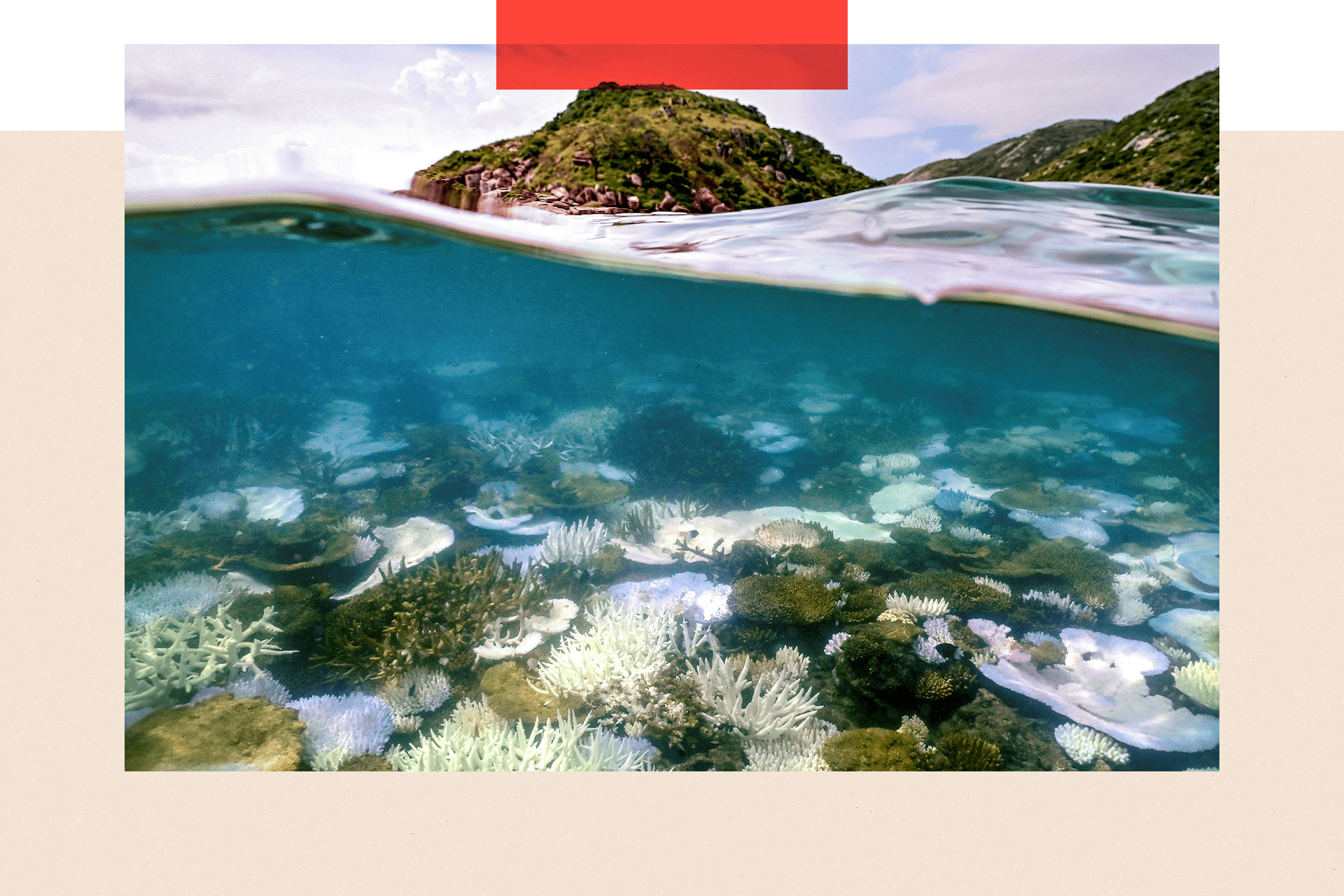 An underwater photograph showing coral that has been bleached white