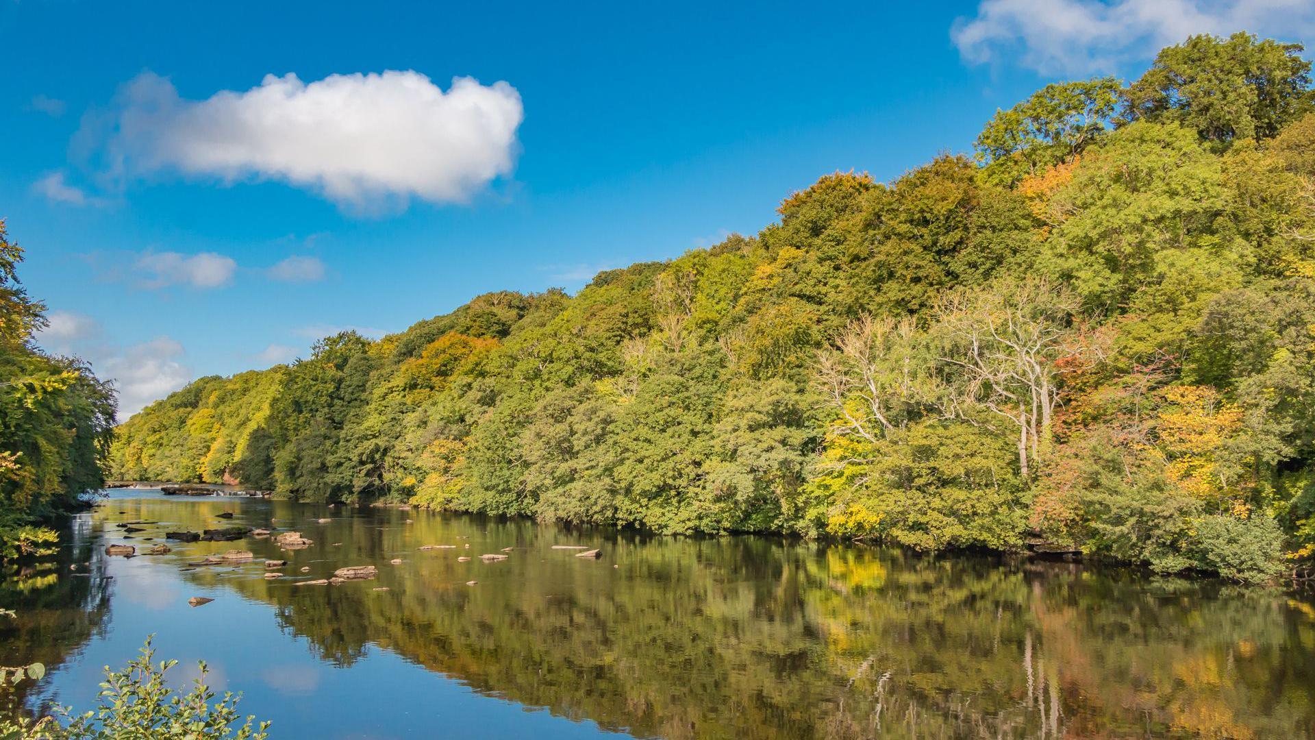 A stretch of river with clear water. The green and yellow-leaved trees on the river bank are reflected in the water. The sky is clear with a couple of clouds.
