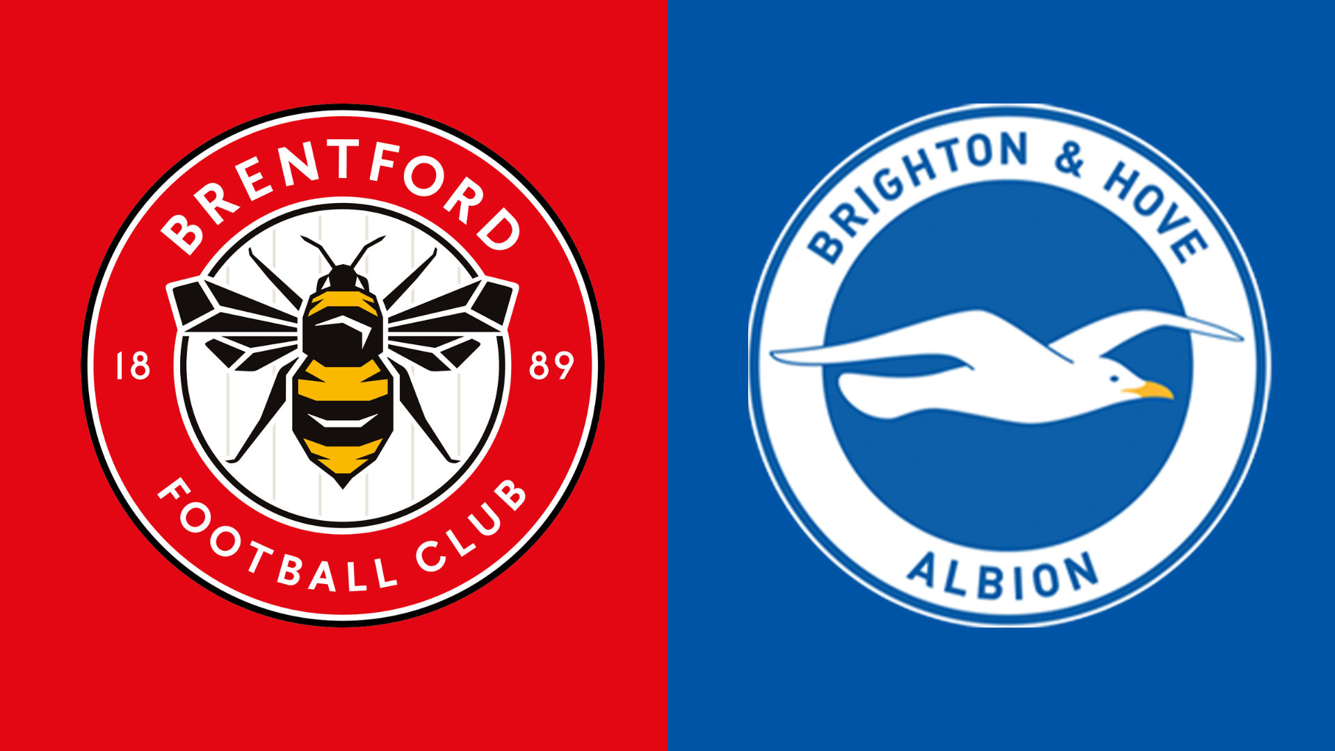 Brentford v Brighton