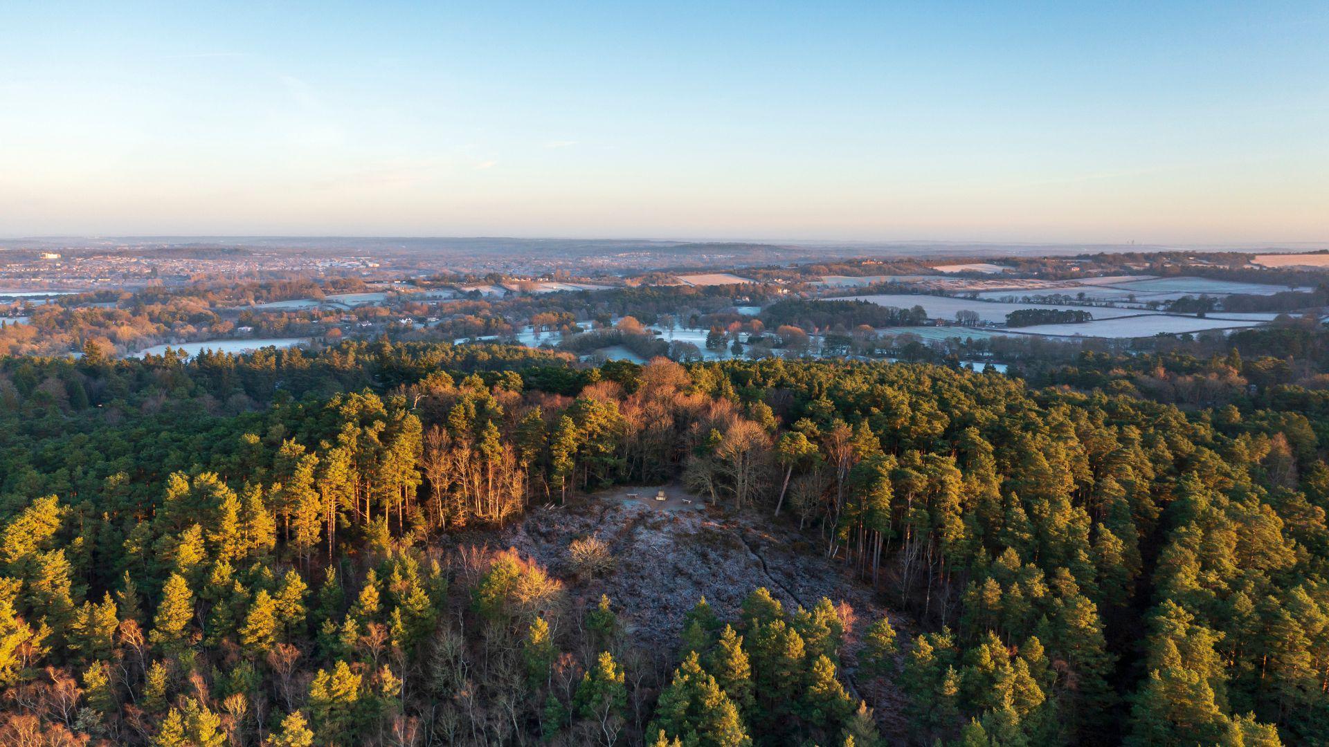 Aerial view of woodland with lakes in the background