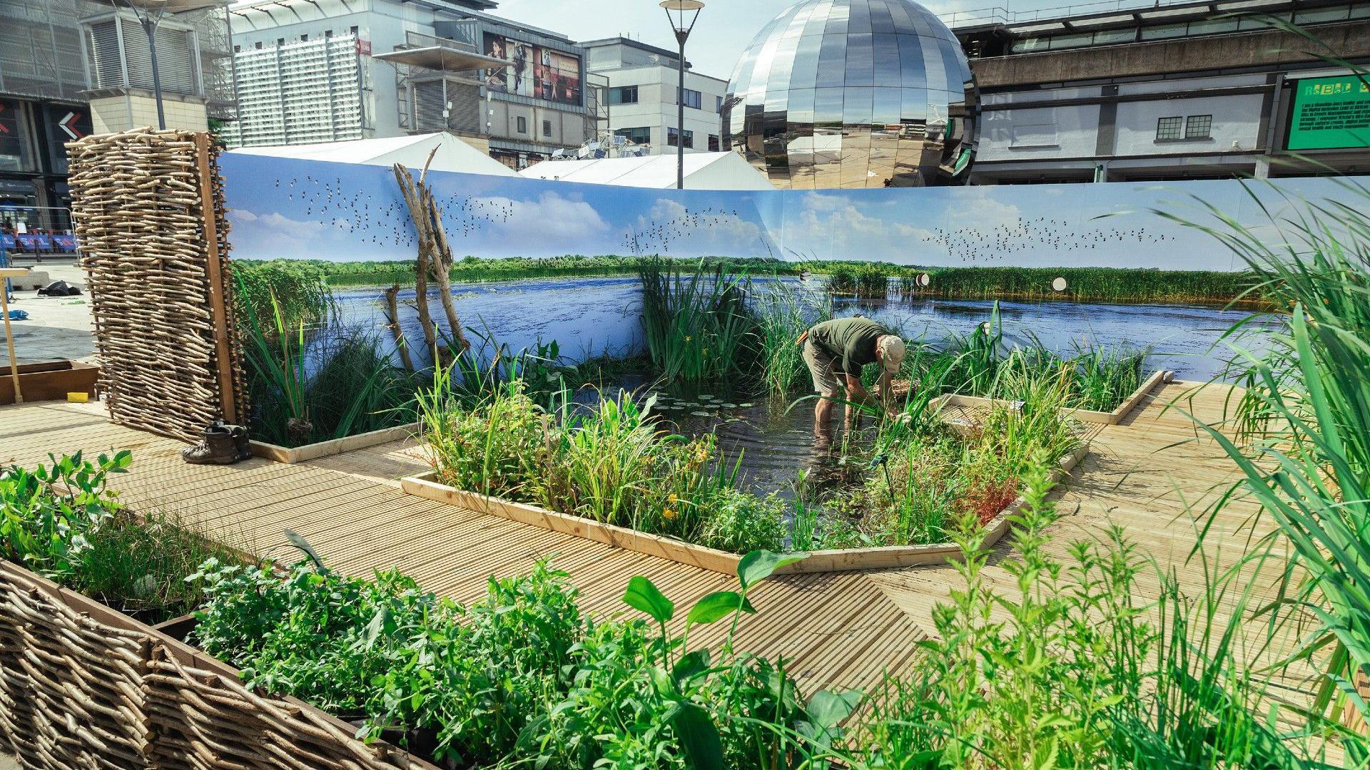 Image shows a decked area which has a pond, surrounded by green plants. A man is standing in the pond. It is a popup in Millennium Square, so you can see the city centre buildings behind it.