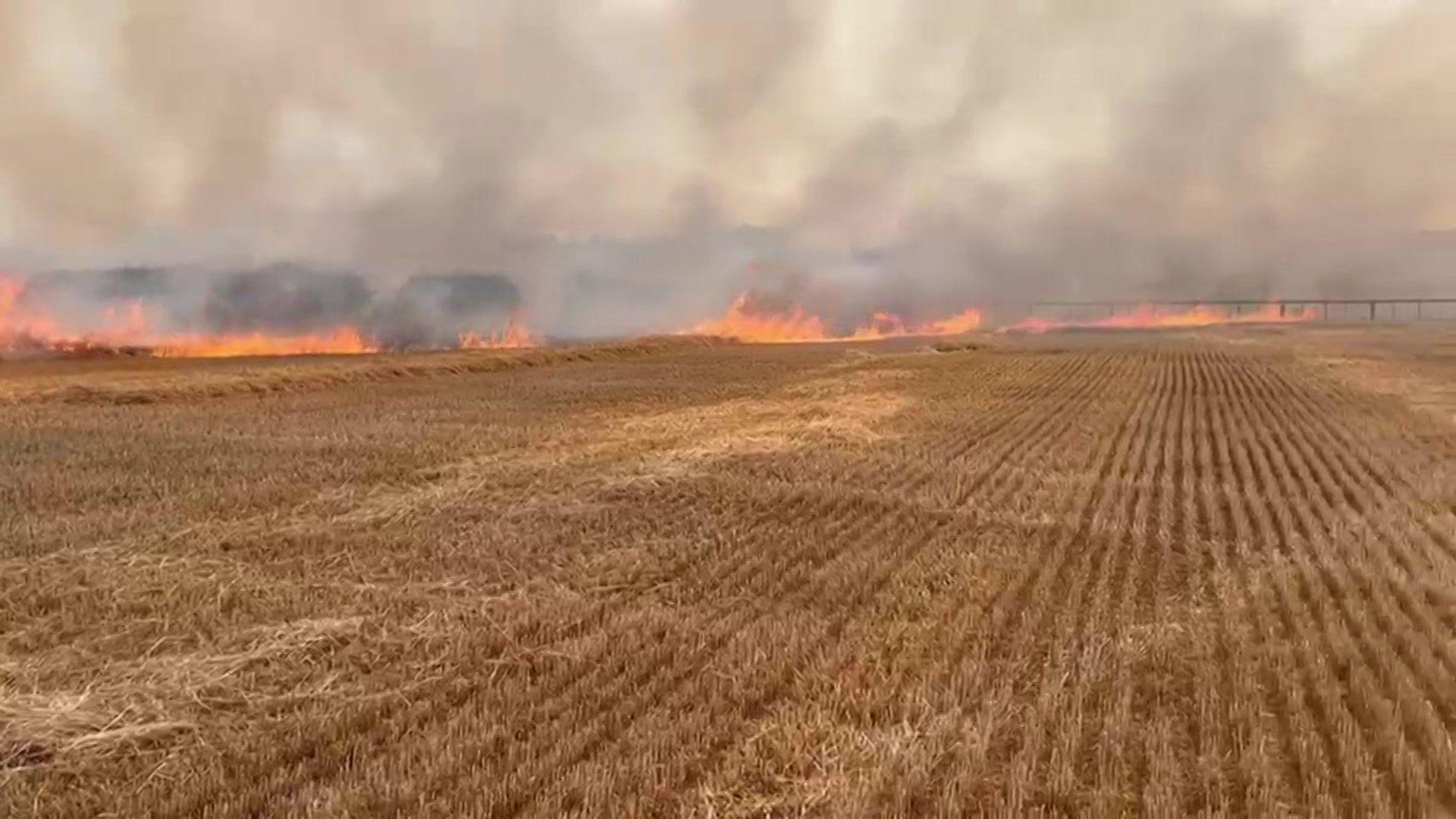 A crop field with flames burning across it, with thick grey smoke rising from it.