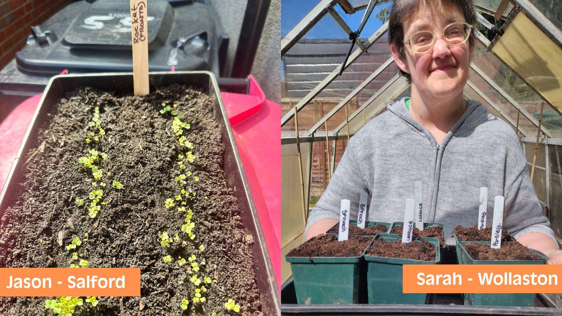 Jason and Sarah's growing efforts