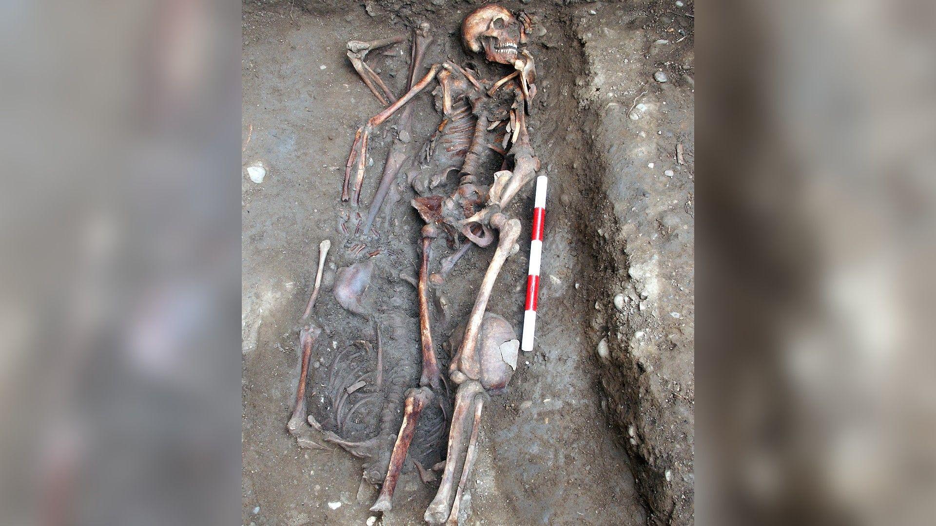 Skeletal remains lying in the ground. There is a red and white pole next to one of the skeletons.