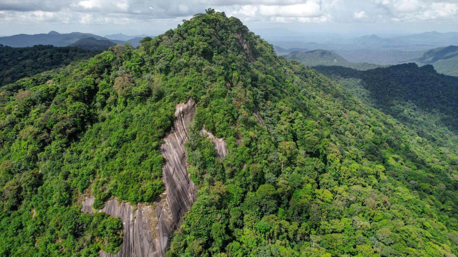 Aerial view of the summit of Juliana Top covered in dense rainforest with a small area of exposed cliff face. Other mountains covered in forest are in the background.