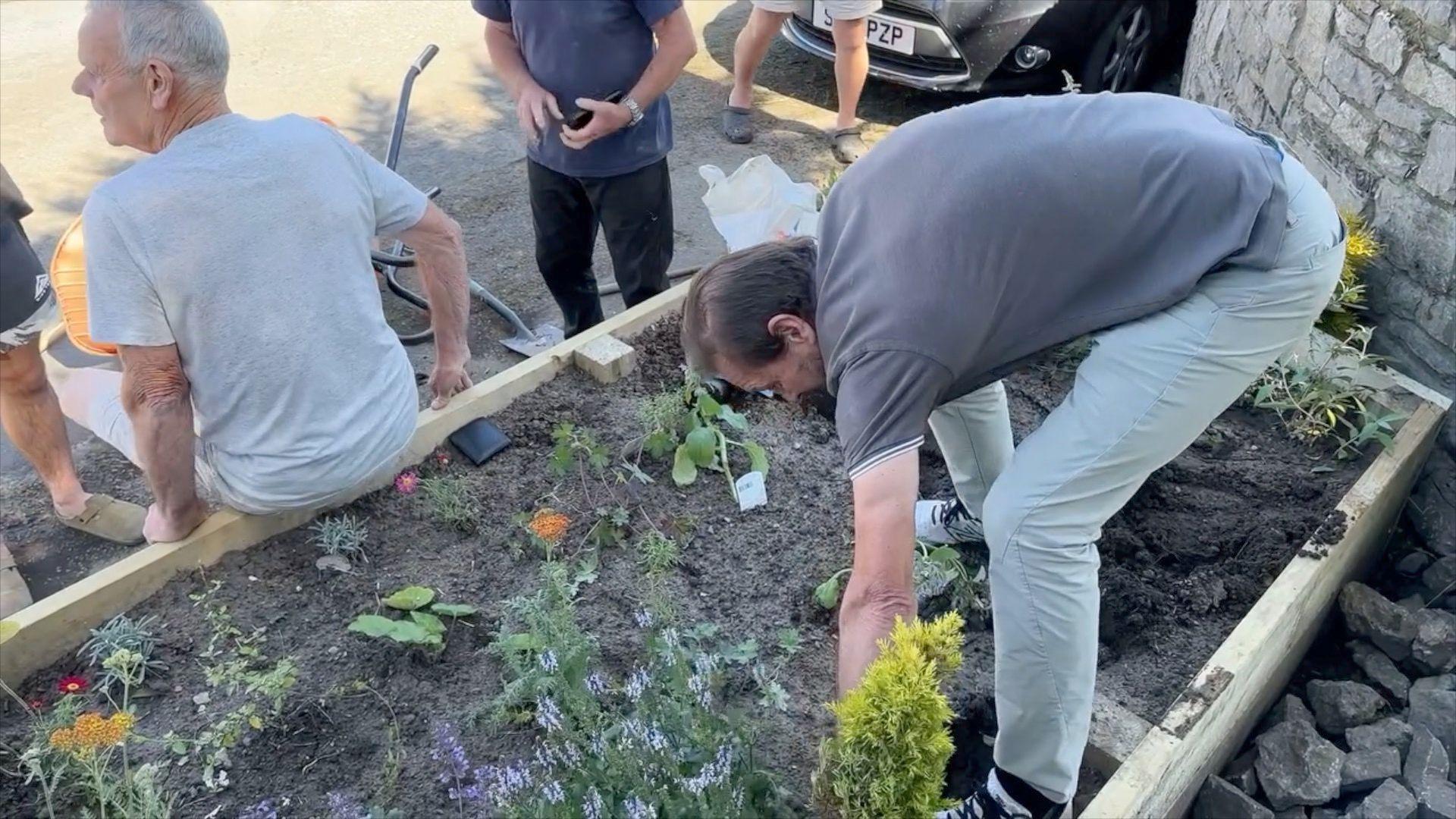 Mike Hodgson pulls up flowers from the flowerbed in the Flintshire village, with other residents nearby