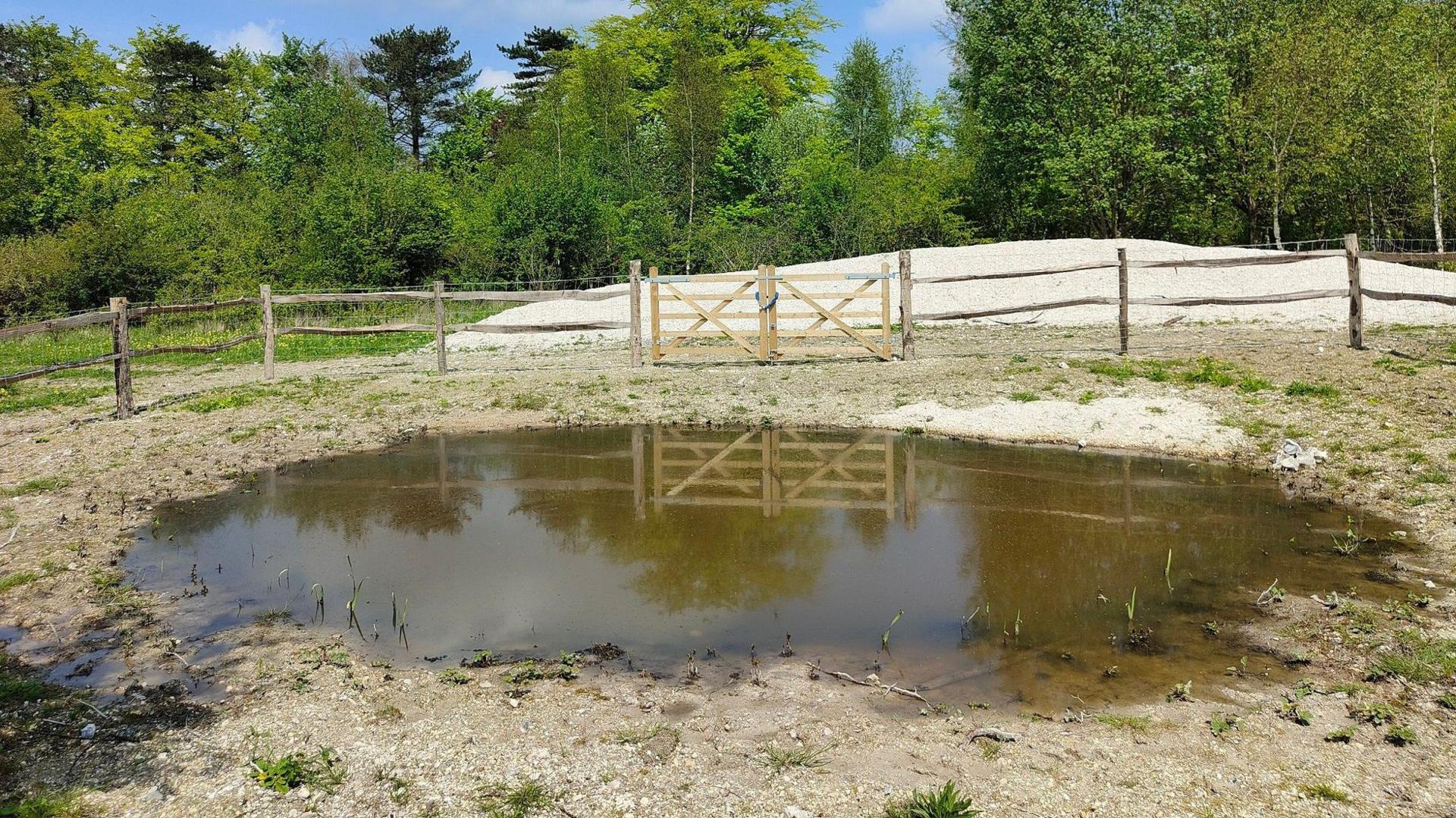 The dew pond at Magdalen Hill Down, Winchester with a fence around it and trees in the background