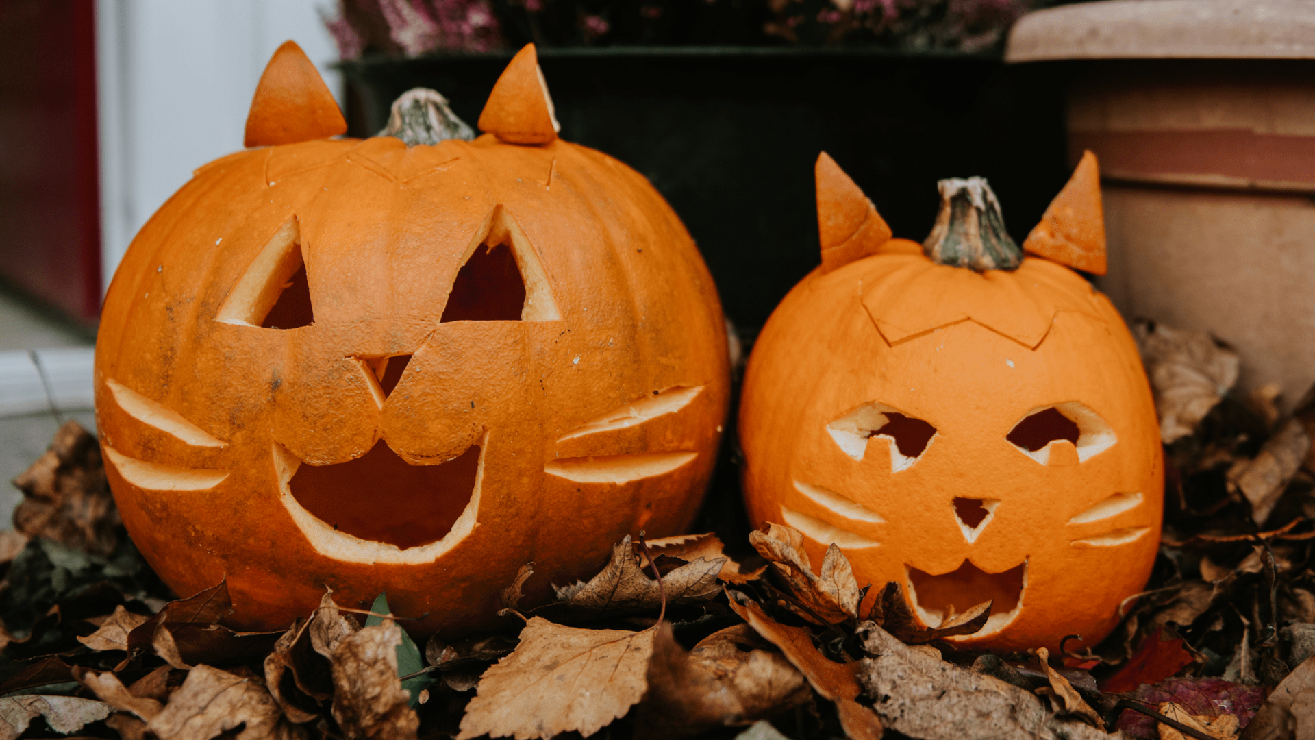 Two carved Halloween pumpkins with devil's horns