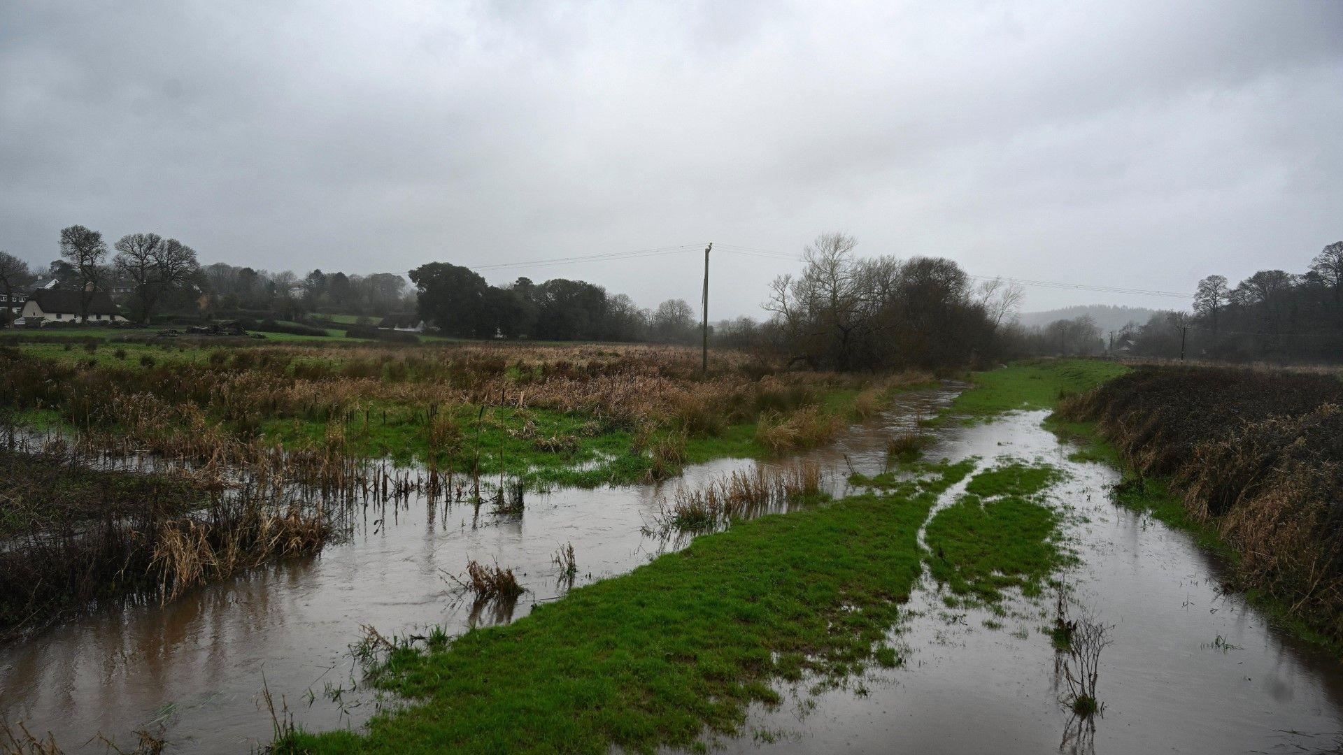 Flooded stream in the countryside, with grey skies overhead.