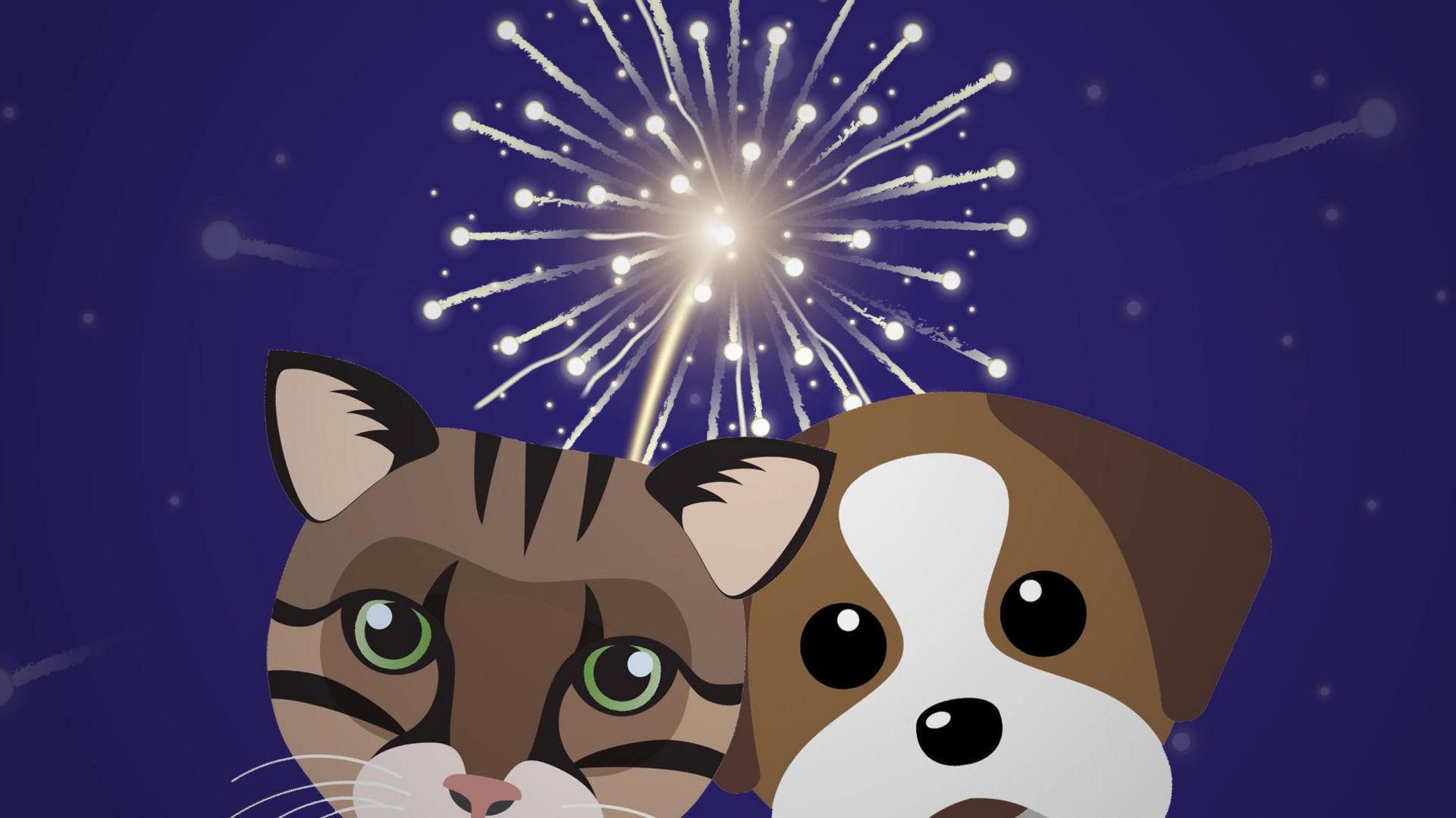 Cat and dog behind firework