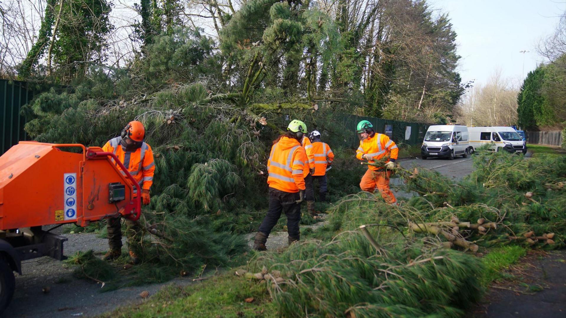 Men wearing high-visibility orange jackets are removing a tree which is blocking a road in Liverpool. Two white vans in the background are stopping traffic. 