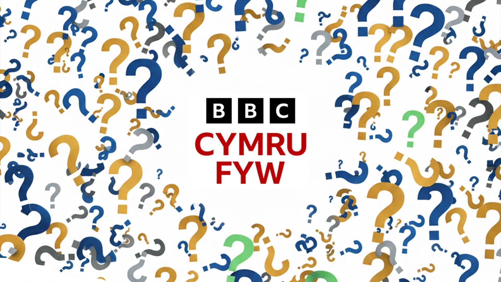 Cwis mawr y flwyddyn rhan 2