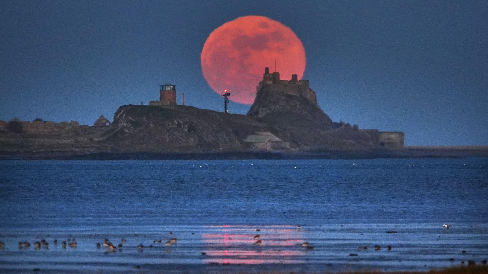 A red looking moon rises over a castle on an island