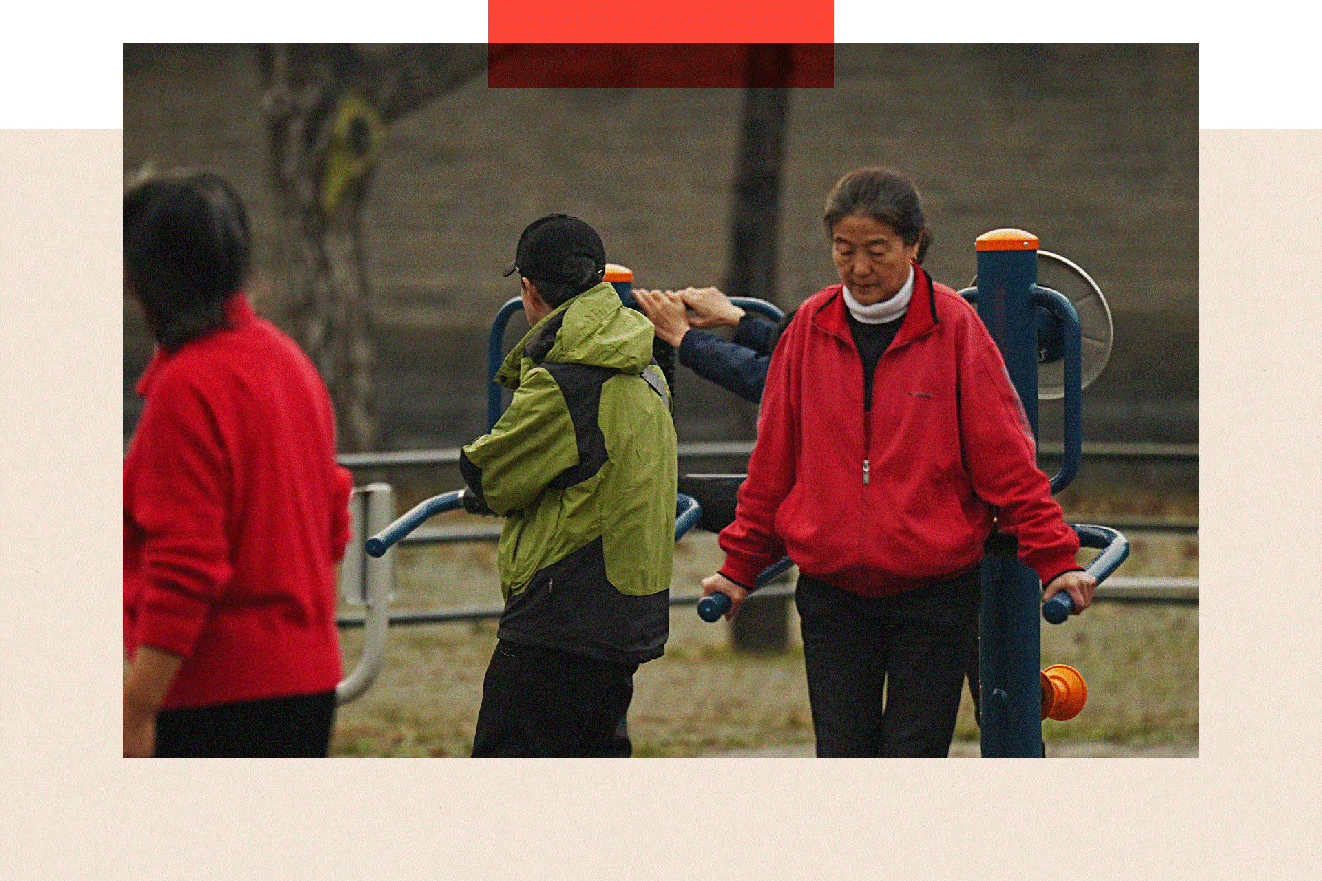 A group of people on gym equipment exercise in the park