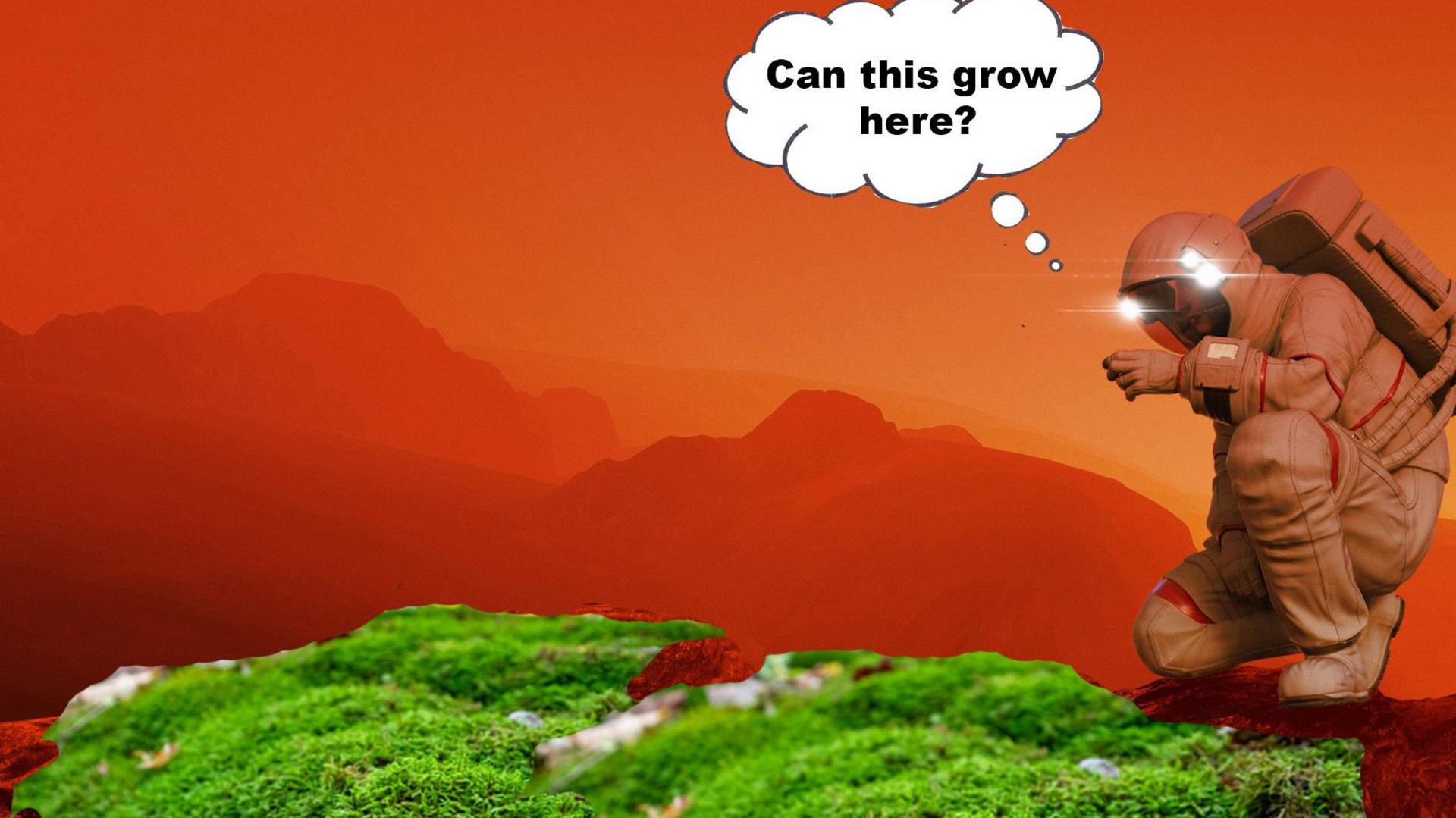 Photoshopped Moss onto Mars with Astronaut thinking 'can this grow here'