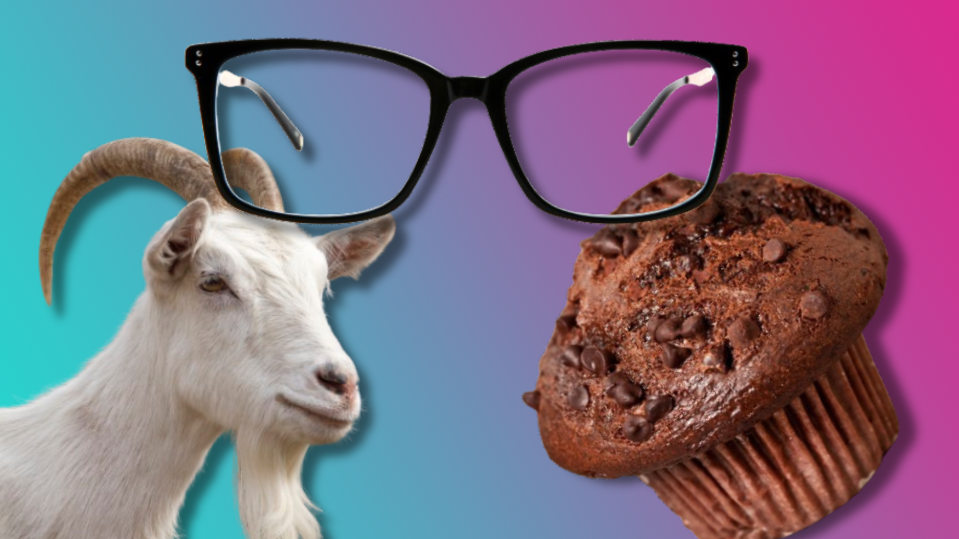 a goat, some glasses and a chocolate muffin