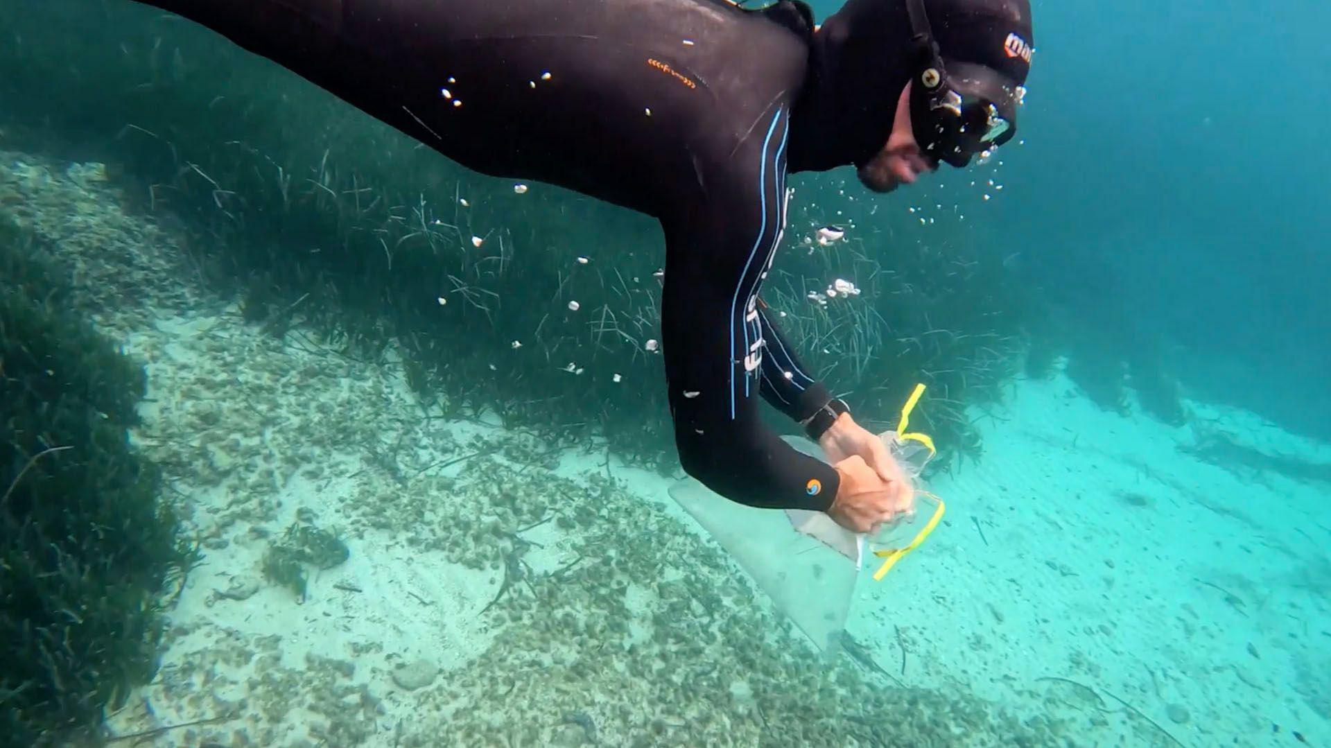 Diver swimming underwater