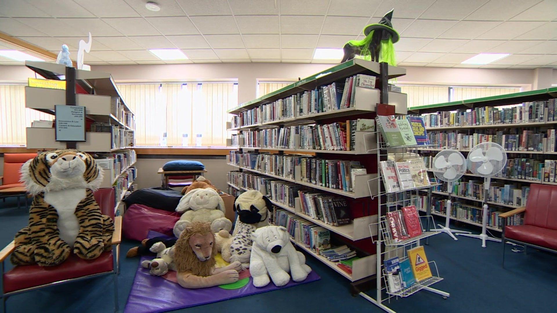 An interior of a library, with books on shelves and a pile of children's soft toys on a mat on the floor.