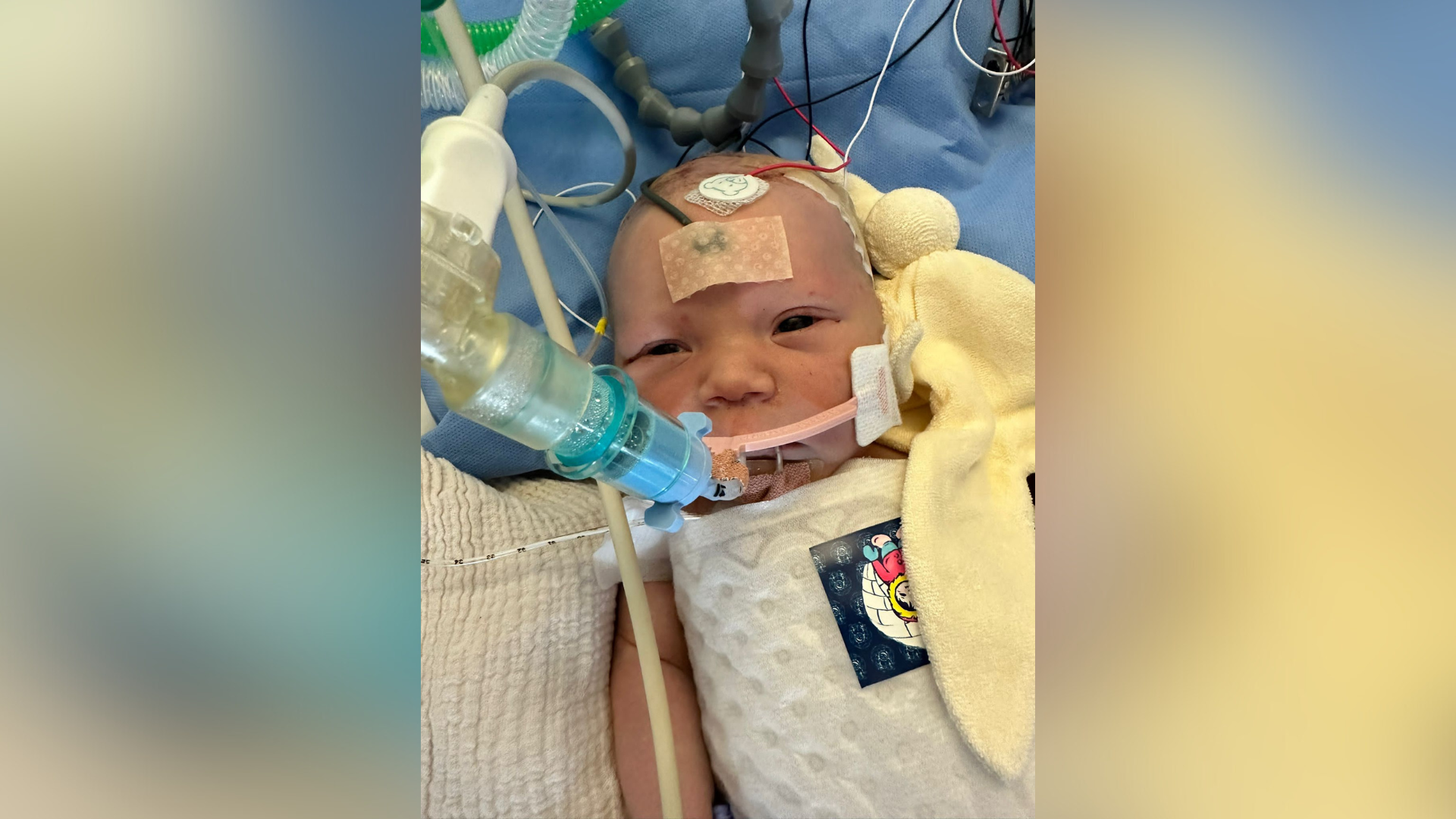 Mabel Williams is pictured lying in hospital with several wires around her and a blanket by her side. Her eyes are partially open. She has a tube feeding into her mouth.
