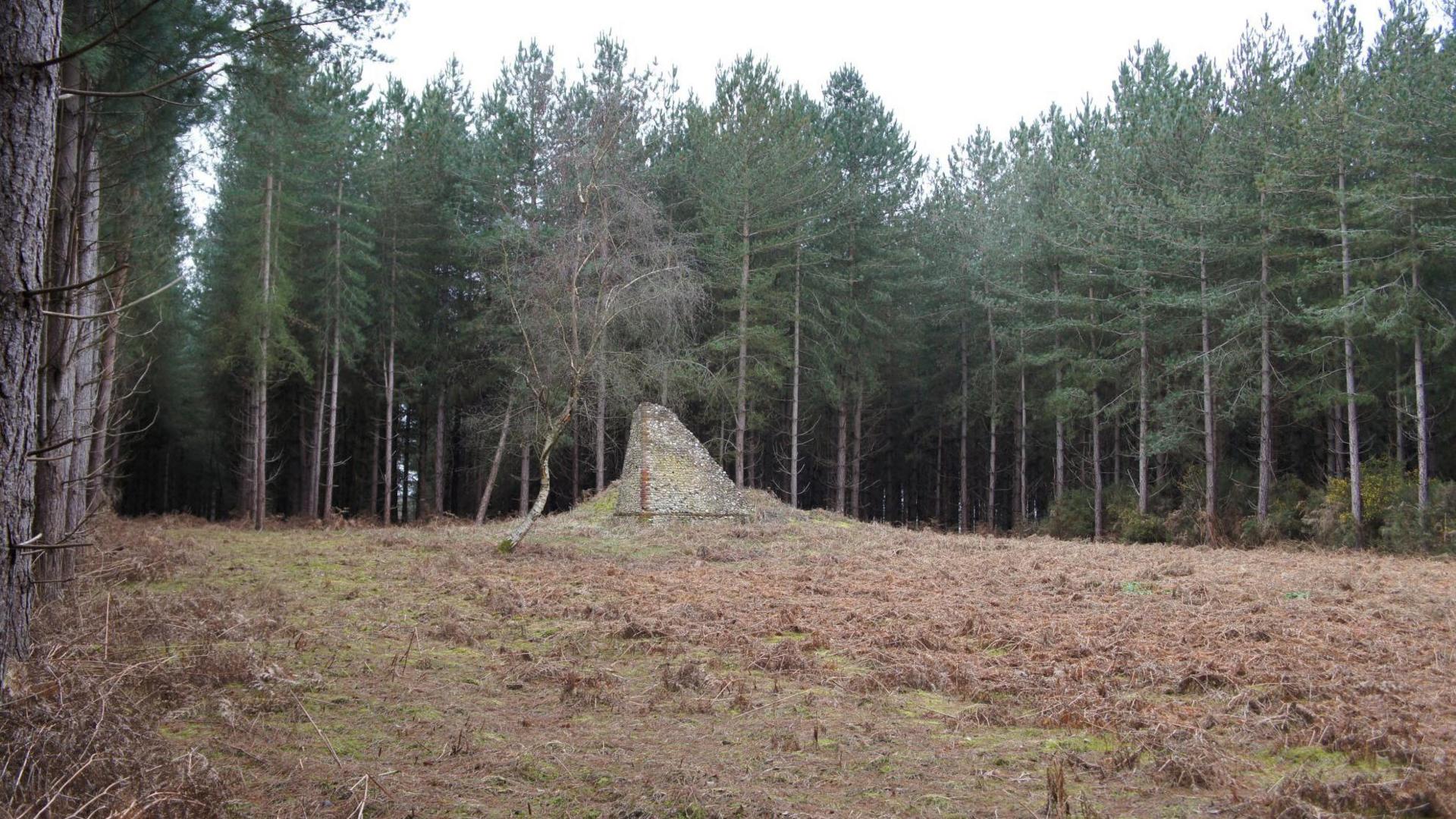 Ickburgh Warren Lodge in Thetford Forest 