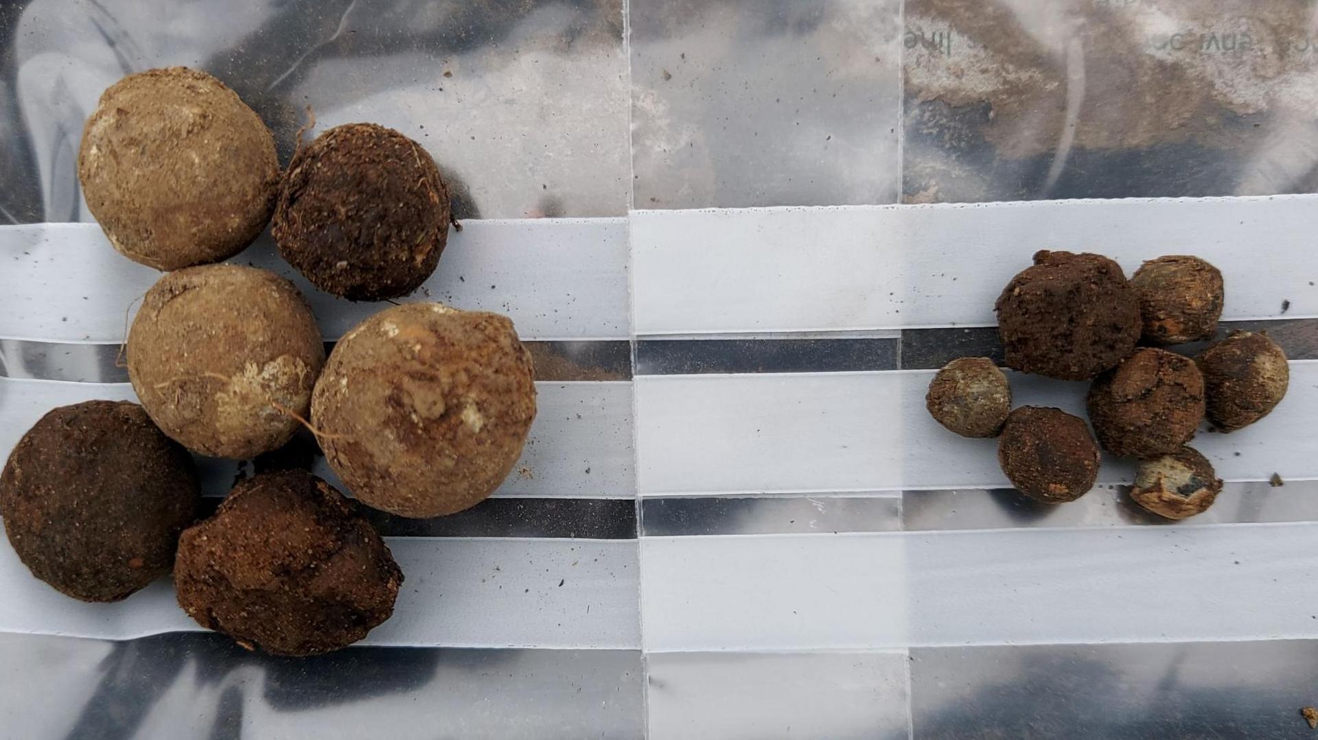 The shot looks like brown balls of varying sizes. The shot has been places in two groups, one of larger balls and other of smaller ones. The shot has been laid on a plastic bag.