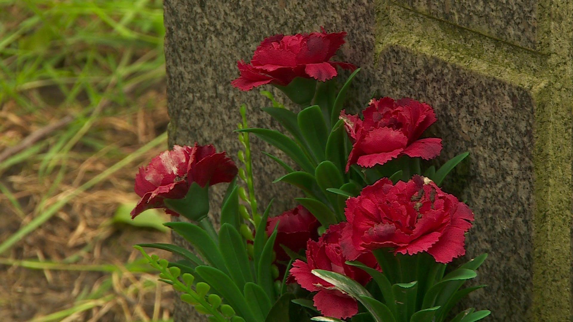 A bunch of red, artificial flowers which have been left in Hull's Western Cemetery