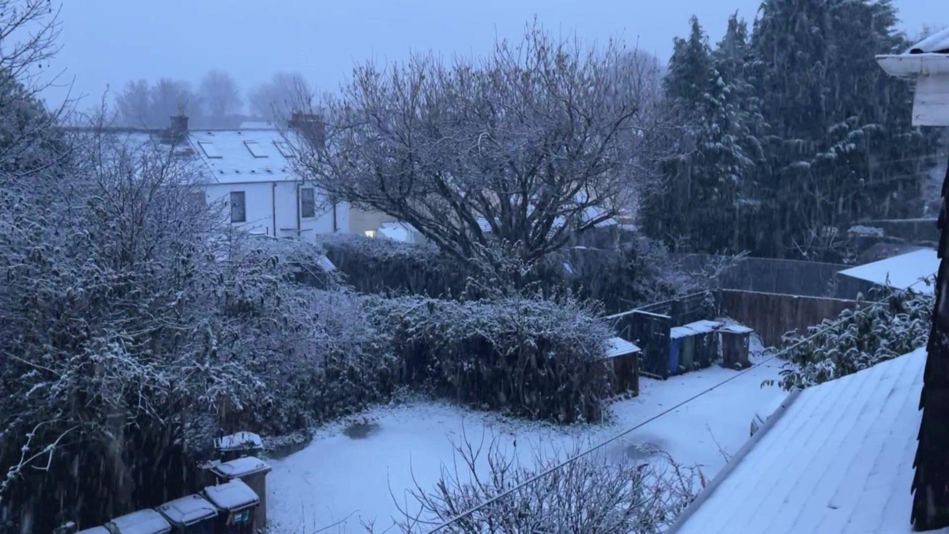 A garden with trees and bins covered in snow.