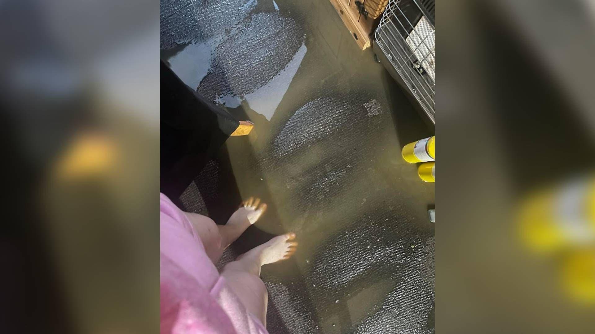 Flooding in Teresa Darnbrough's homes