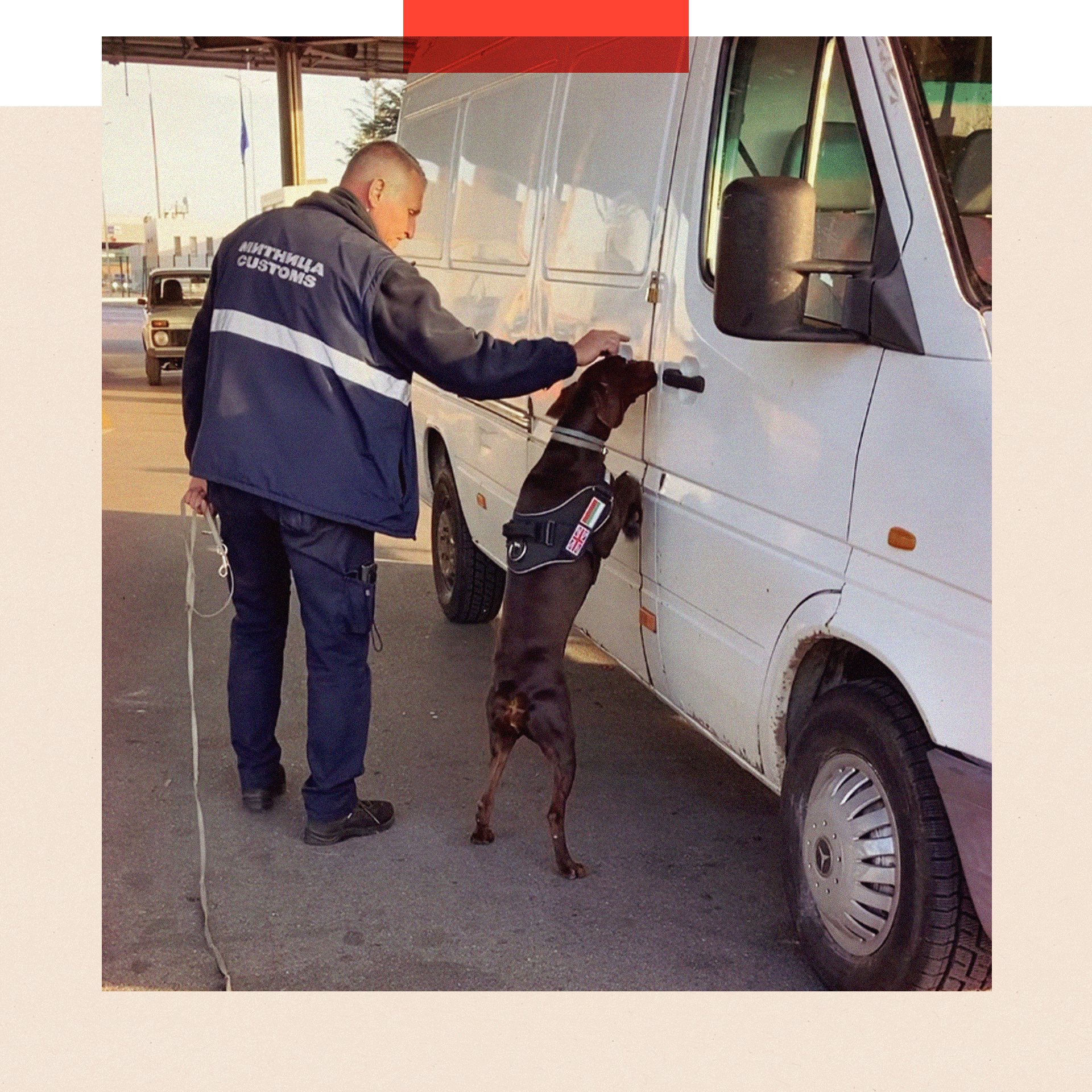 A sniffer dog leaning against a white van