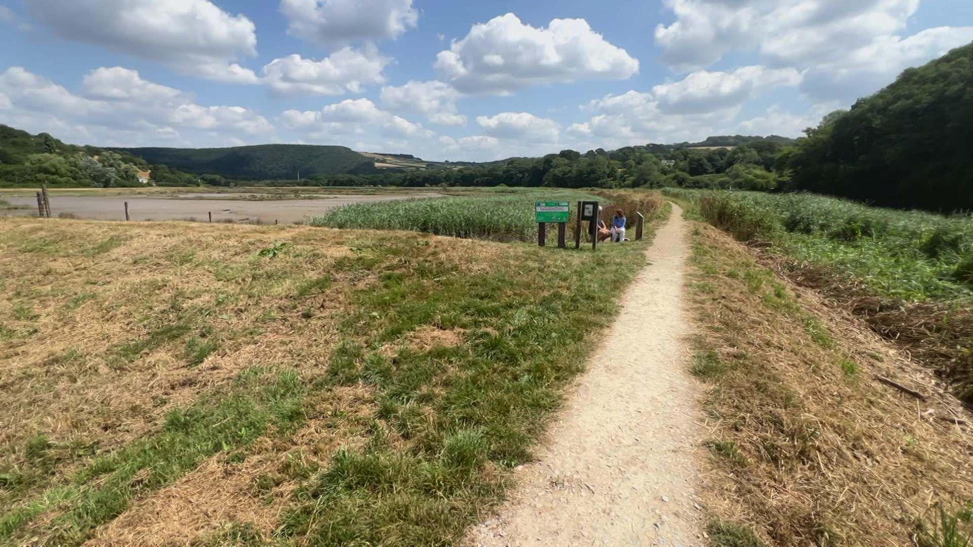 A field in front of the river and area of wetland