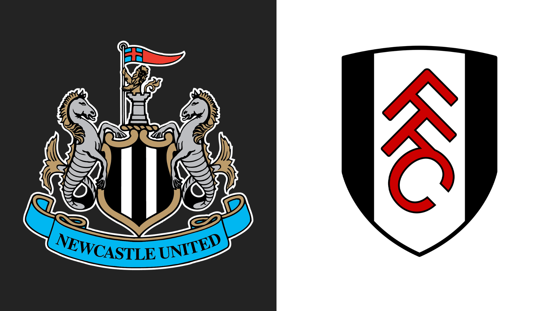 Newcastle v Fulham