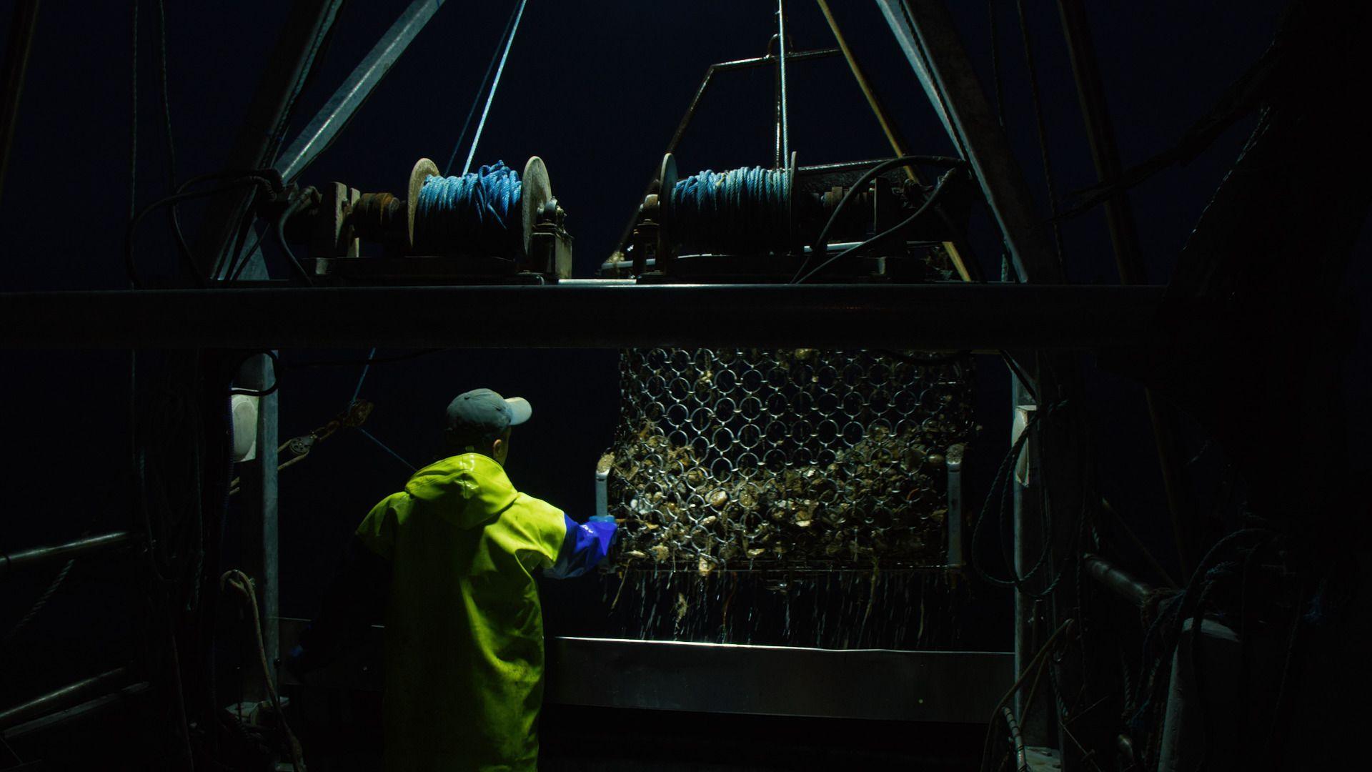 A fisherman wearing bright yellow wet weather gear and a baseball cap examines the oysters he has caught in his net. Above the net are two blue winches.