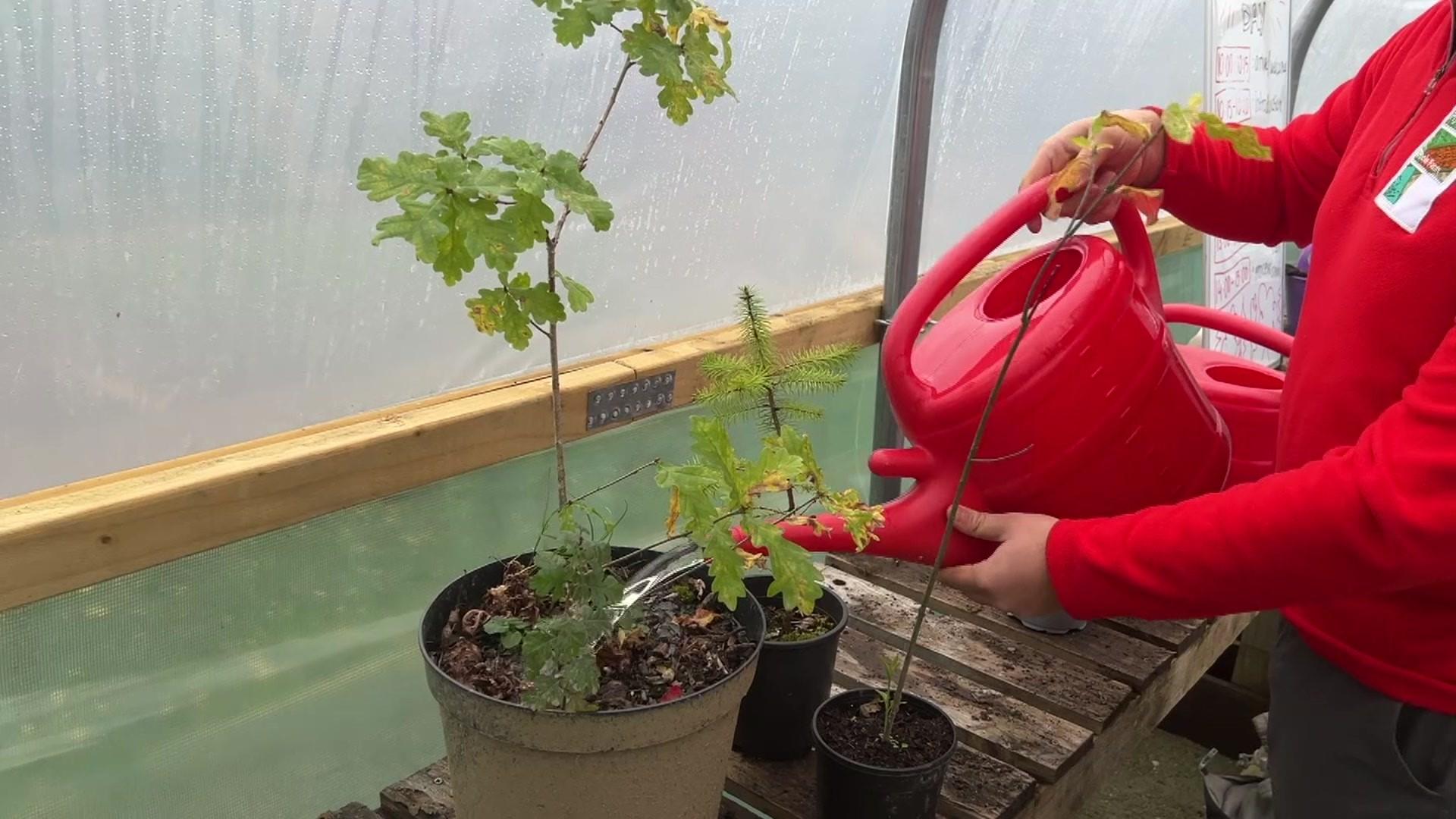 A photo of a watering can