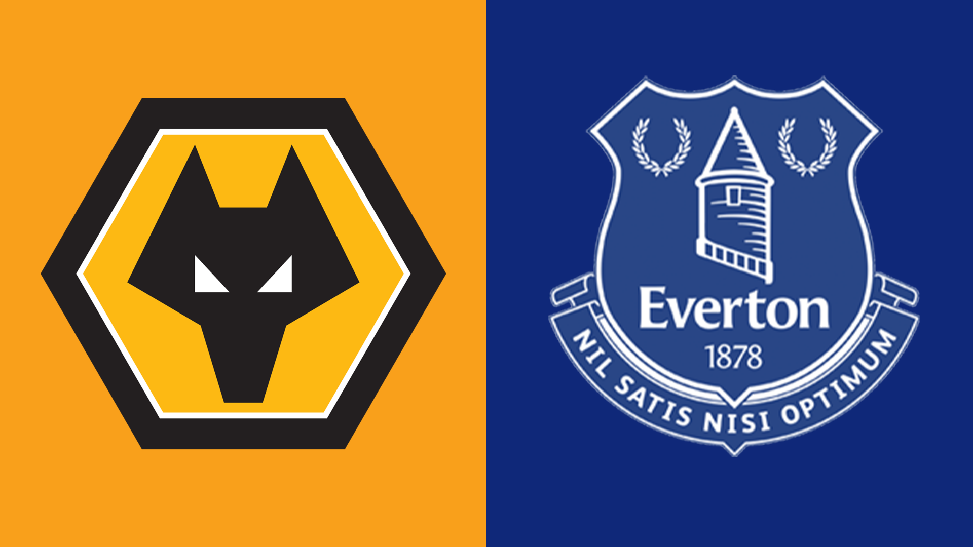 Wolves v Everton