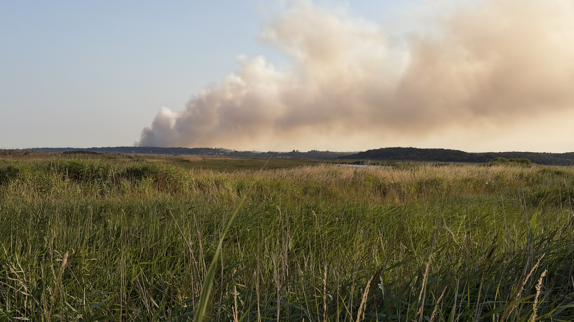 In a picture taken at ground level, grey smoke is drifting from the left to the right of the frame. There is grassland in the foreground.