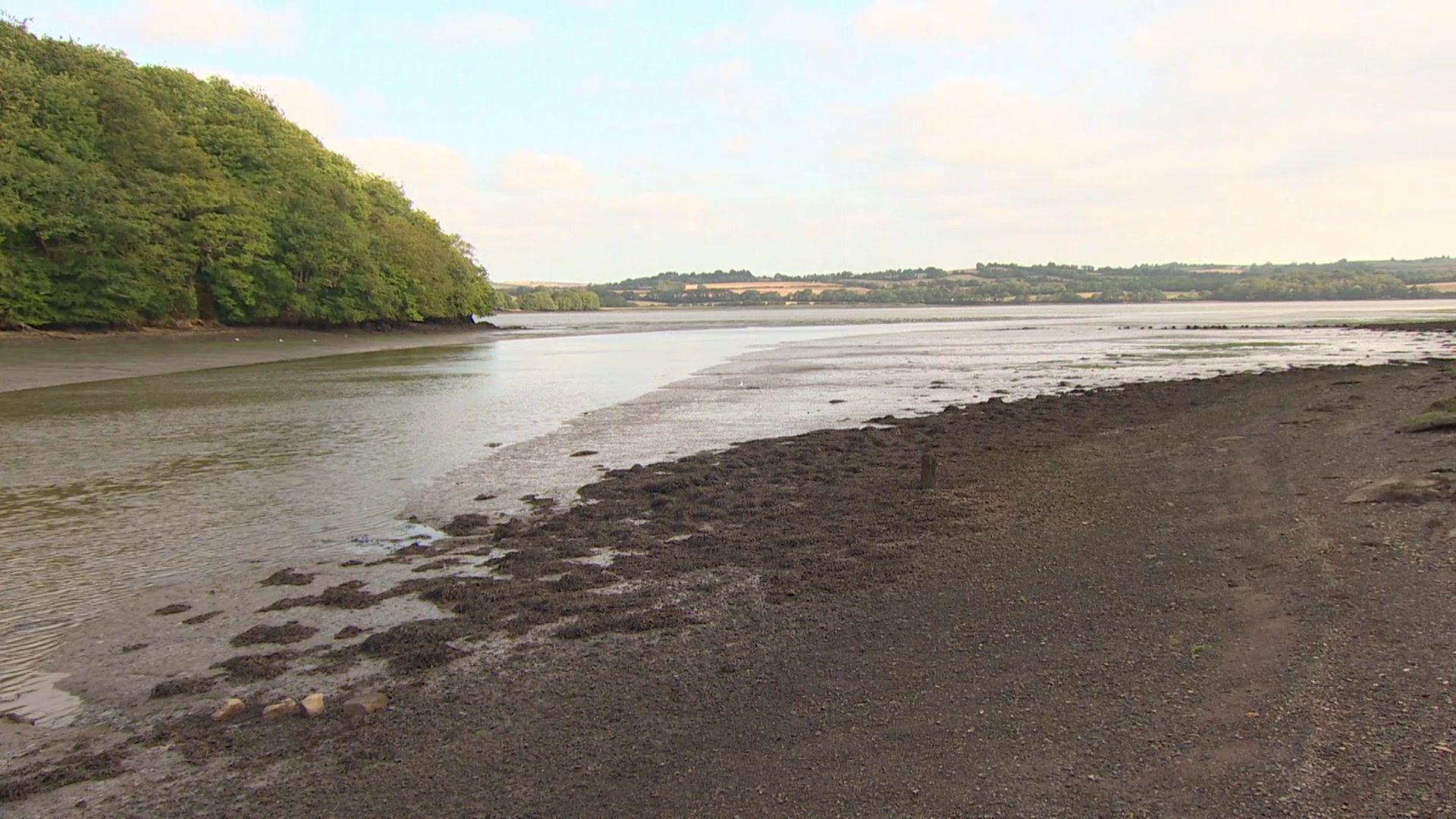 A picture of the beach near Wacker Quay. The beach is stone which is a dark brown color next to a stream of water. Trees and land can be seen in the distance.