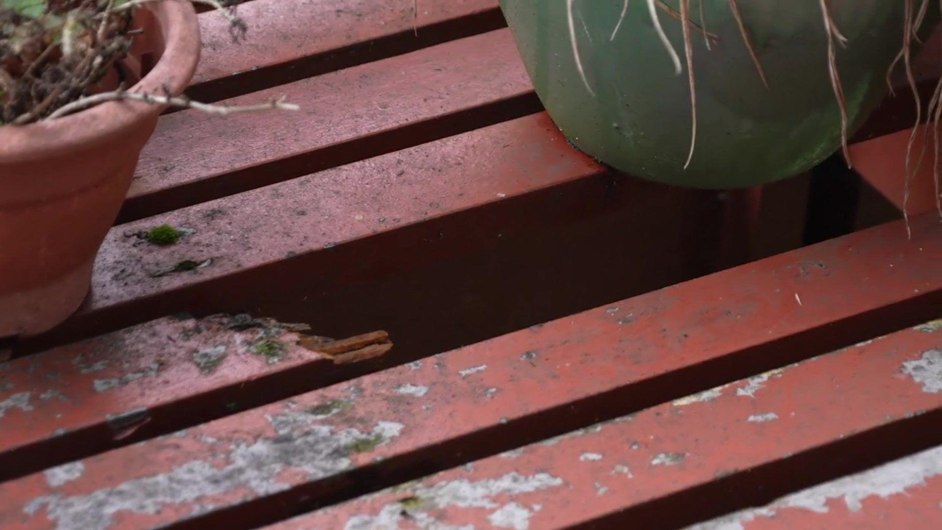 An image showing a rotted and partially missing wooden strut on Ms Lawson's balcony