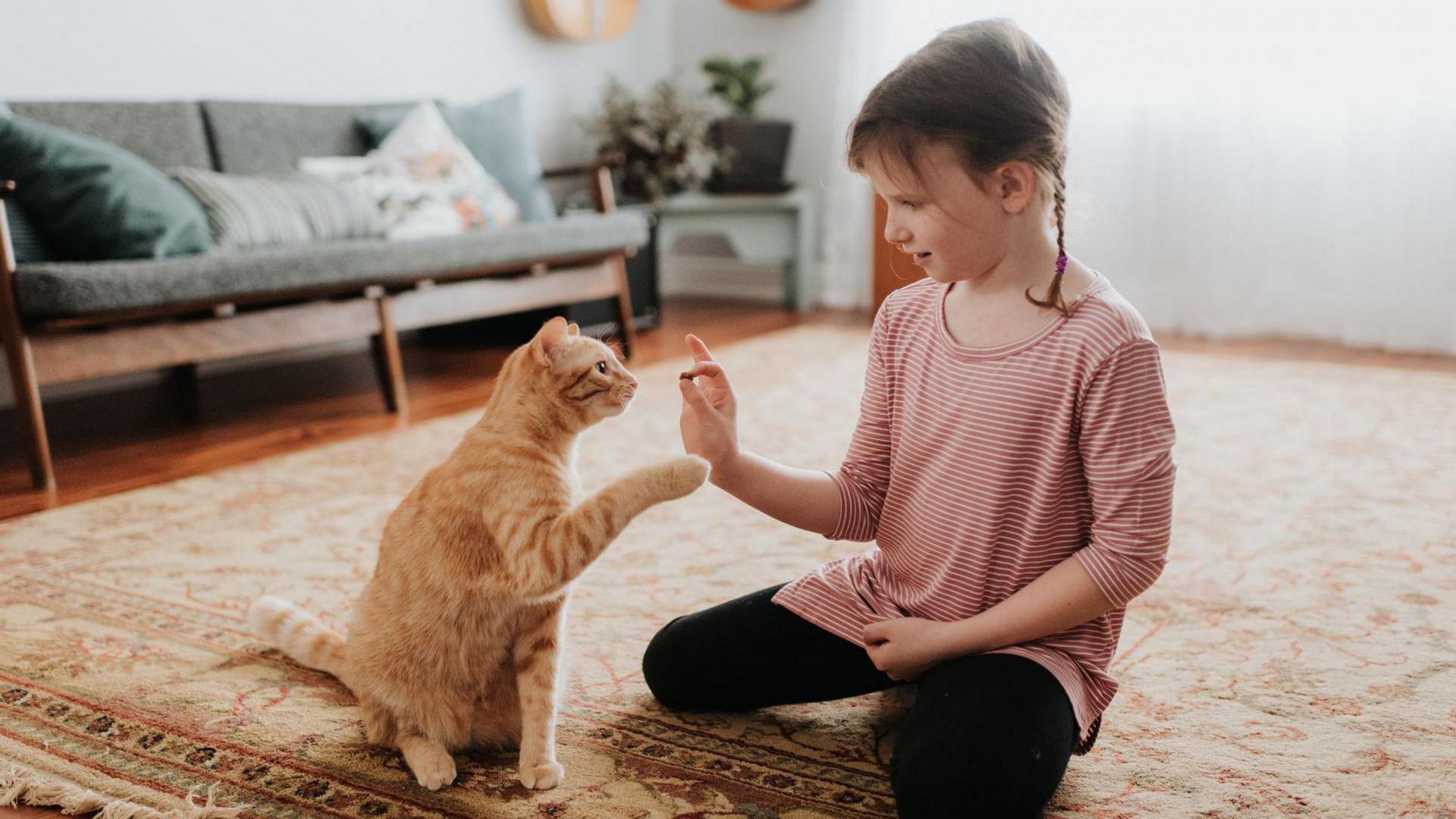 Young girl plays with cat.