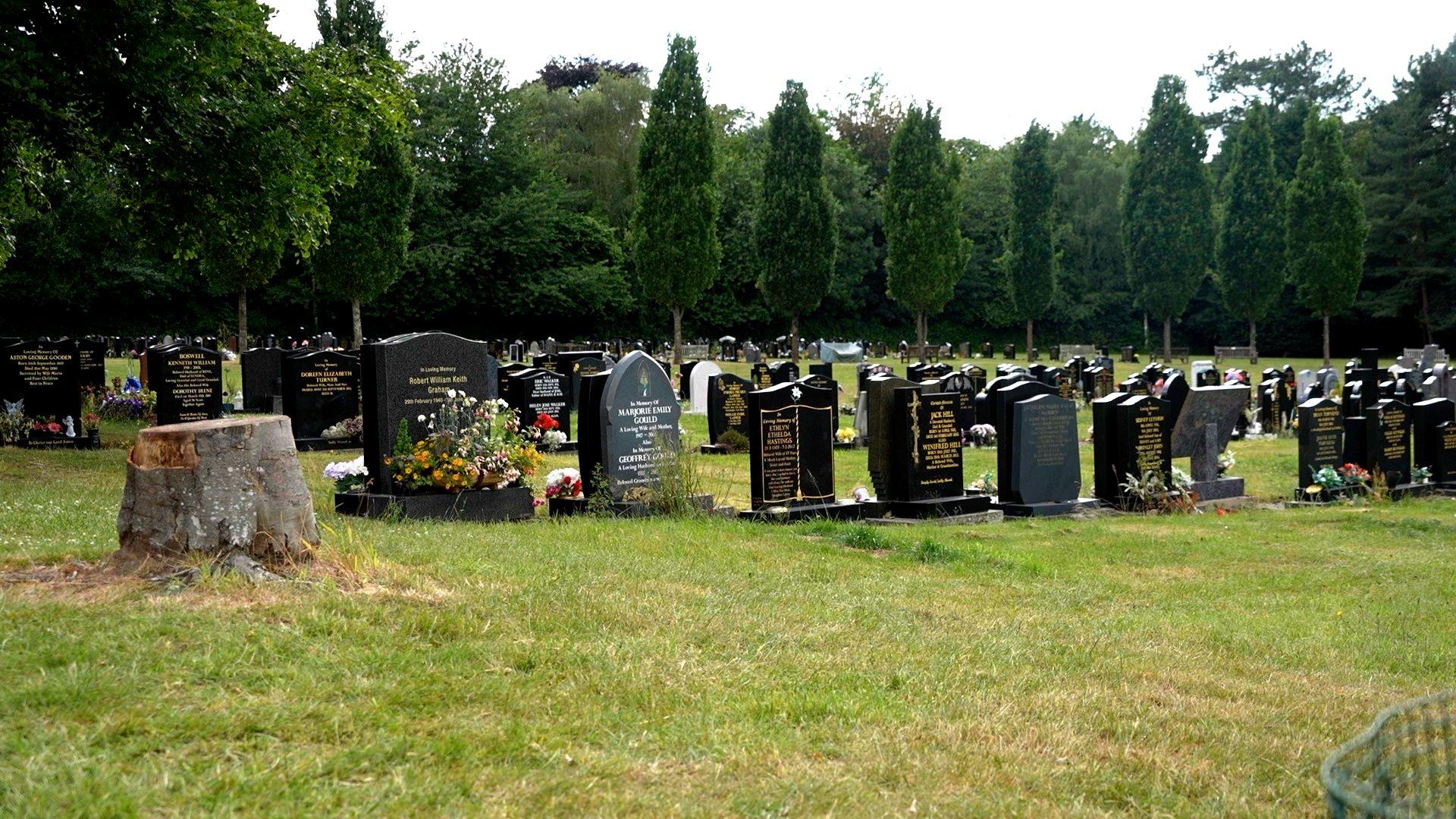 A cemetery in Tettenhall Wolverhampton. There are rows and rows of headstones marking graves and trees in the background. There is a sawn tree stump in the foreground.