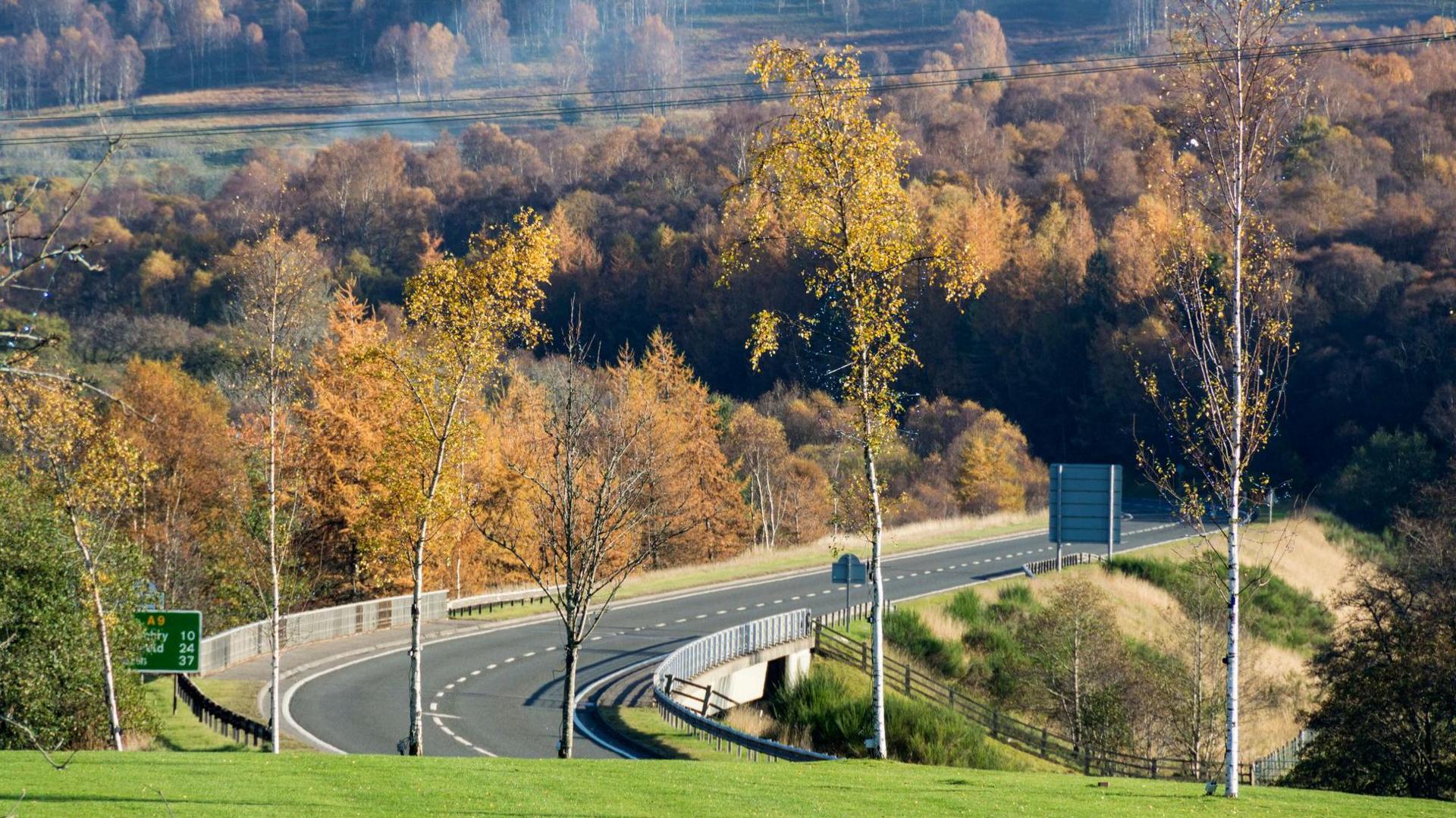 A sweeping corner of the road crosses a small bridge among trees, there leaves in autumn colours.