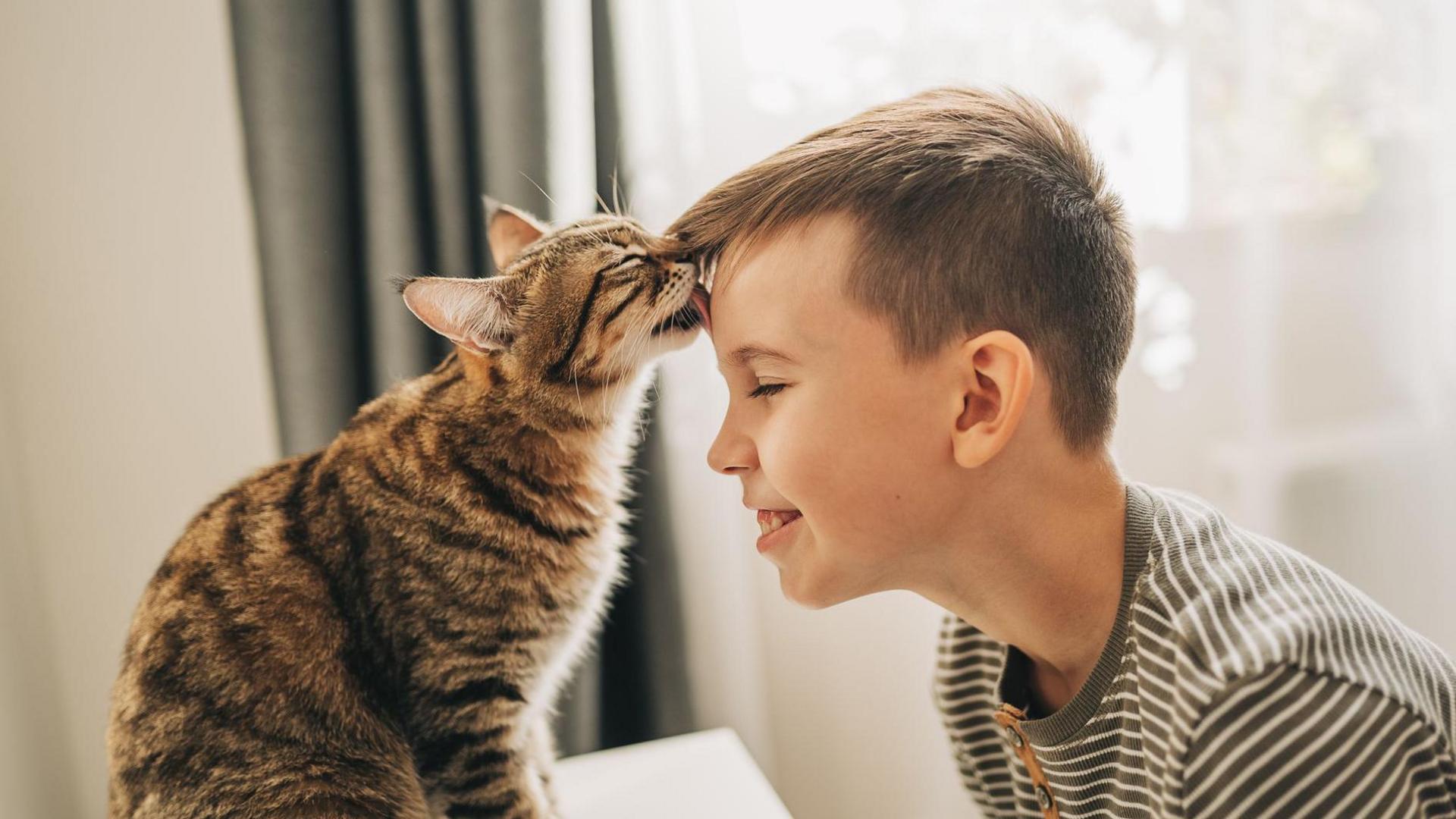 A brown and black tabby cat sits on a table. A boy with short light brown hair and a grey and white striped tshirt leans forward into the cat with a smile on his face and his eyes closed. The cat is affectionately licking his forehead like a little kiss