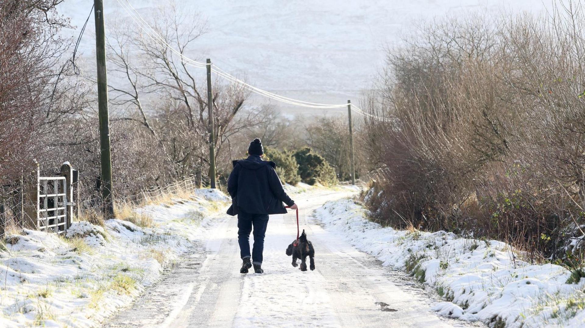 A wide shot of a snowy country lane with a person walking a dog.